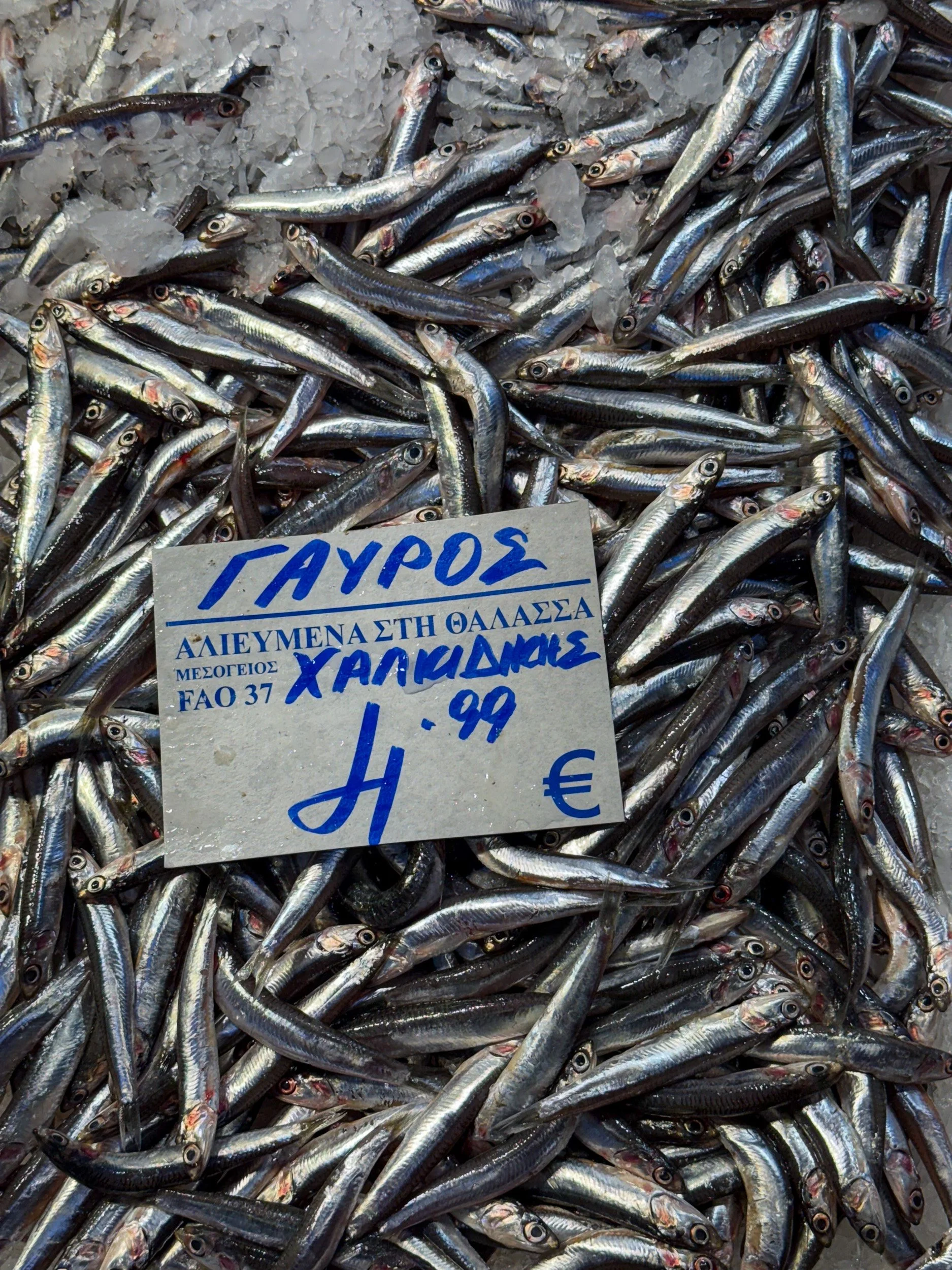 lila greece 3.jpg