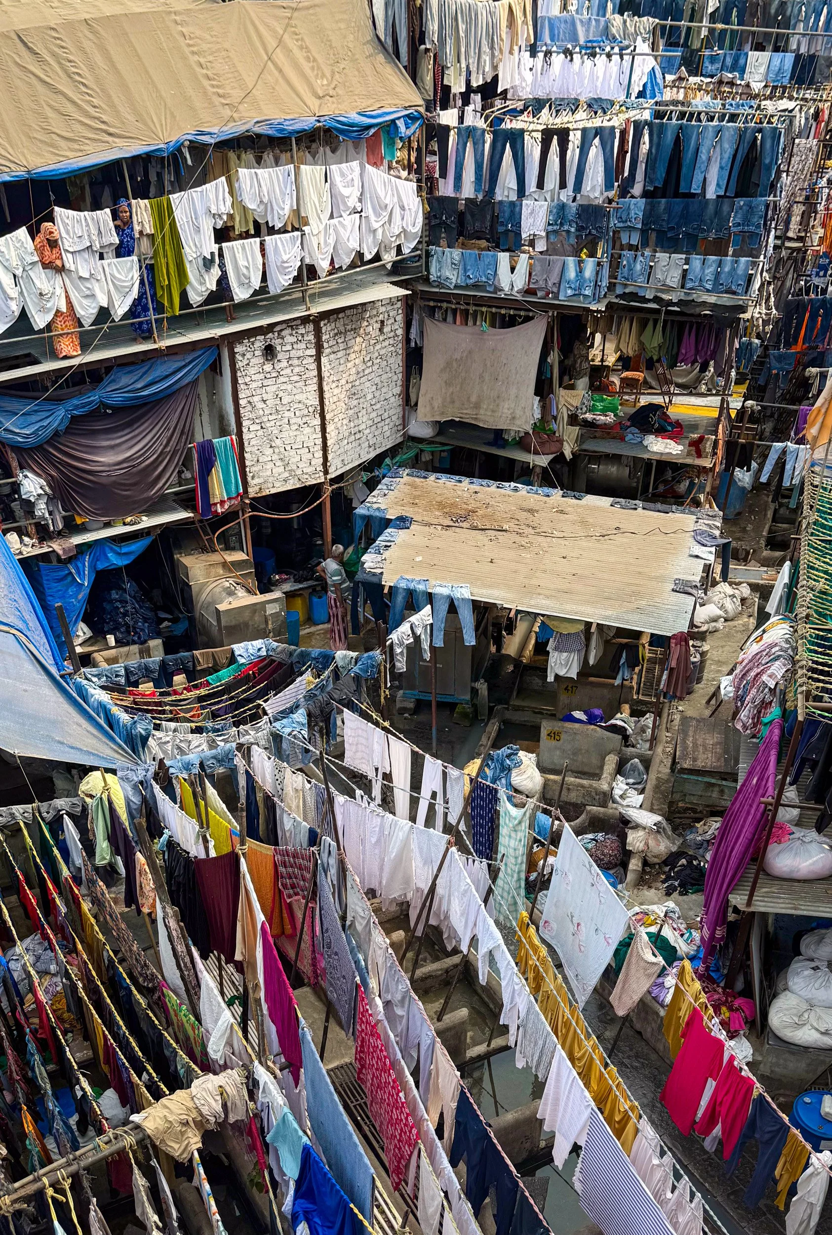 feit india 3.jpg