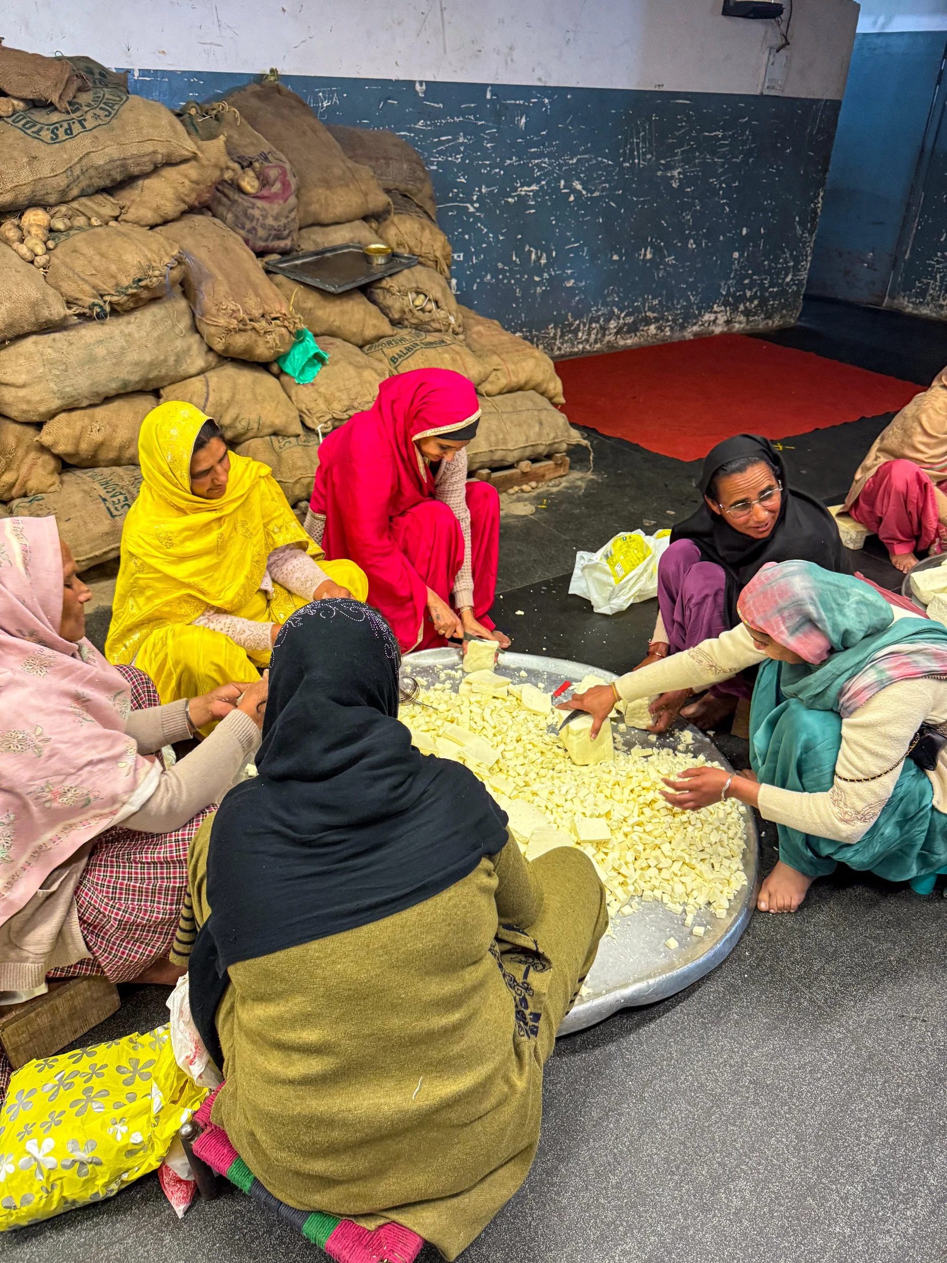 feit india.jpg