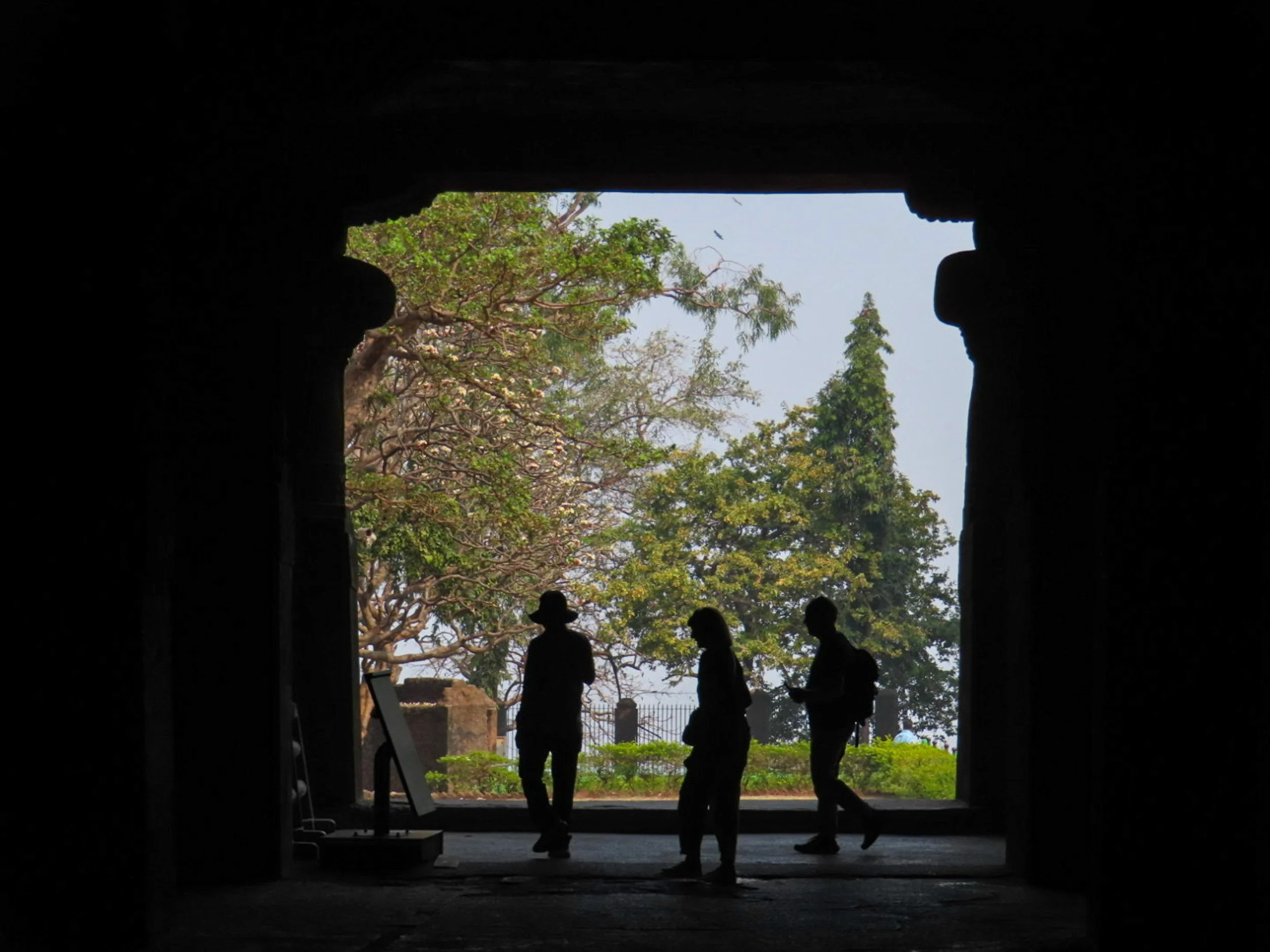 lila india 7.jpg