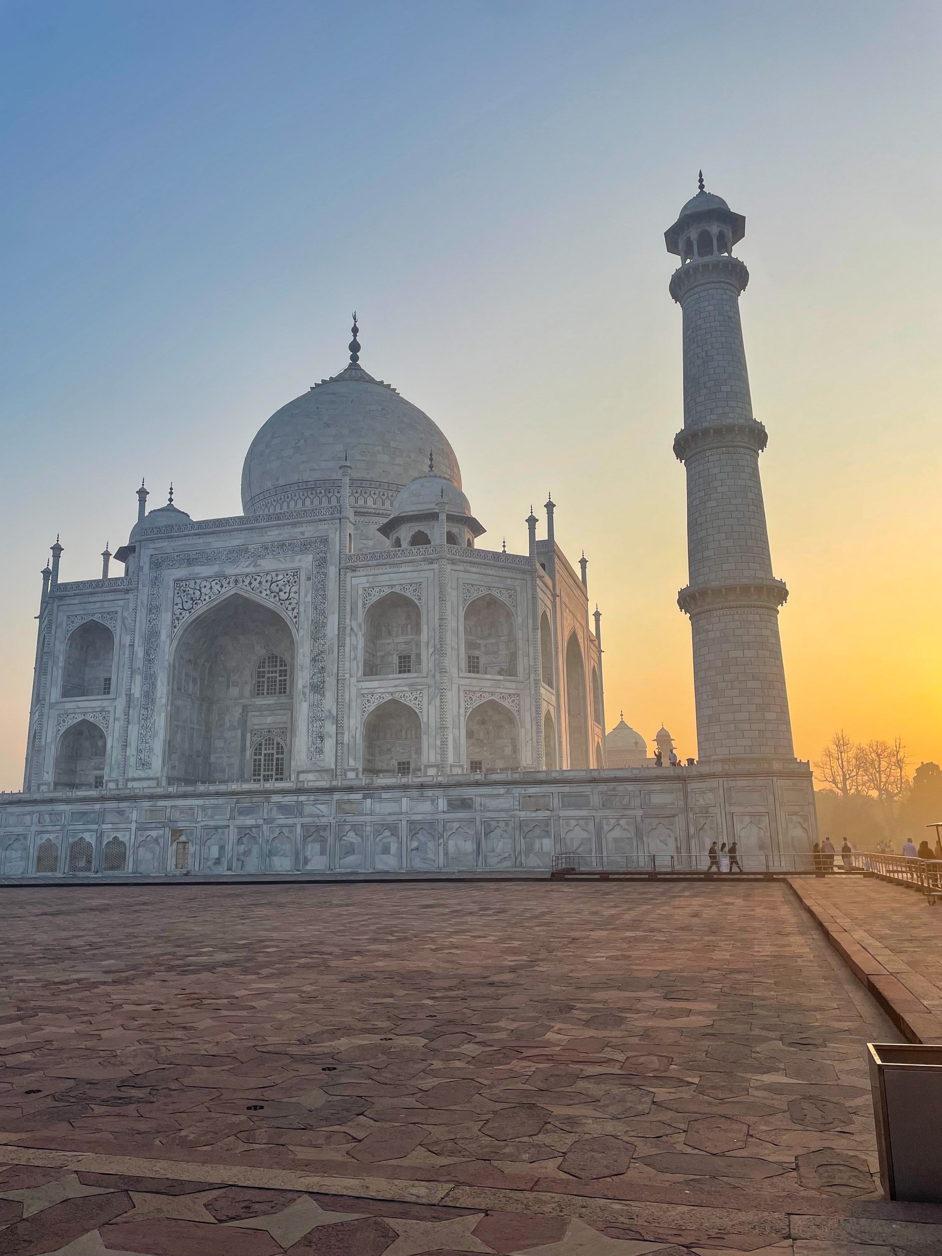 sohn. india.jpg