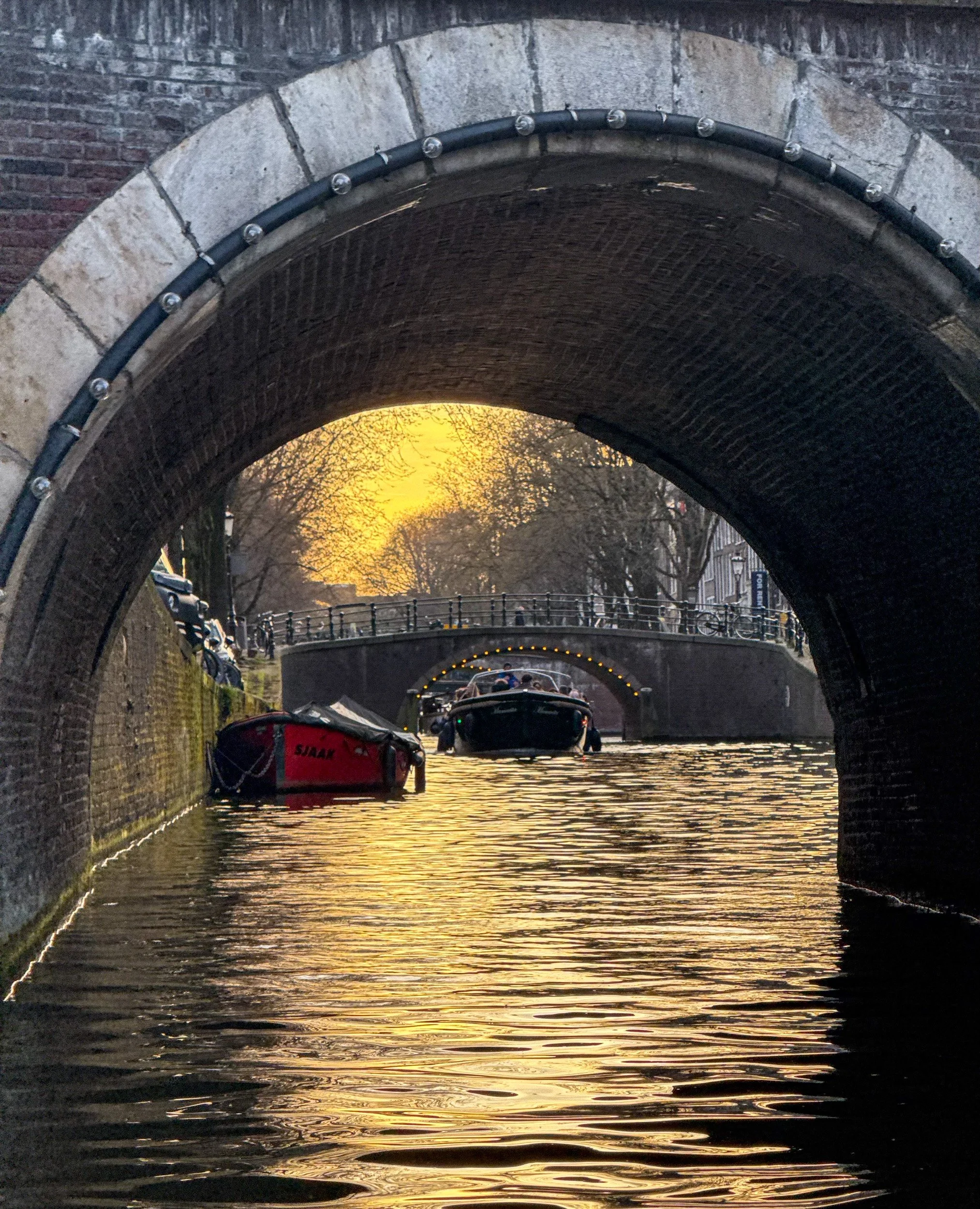 browntown amsterdam 1.jpg