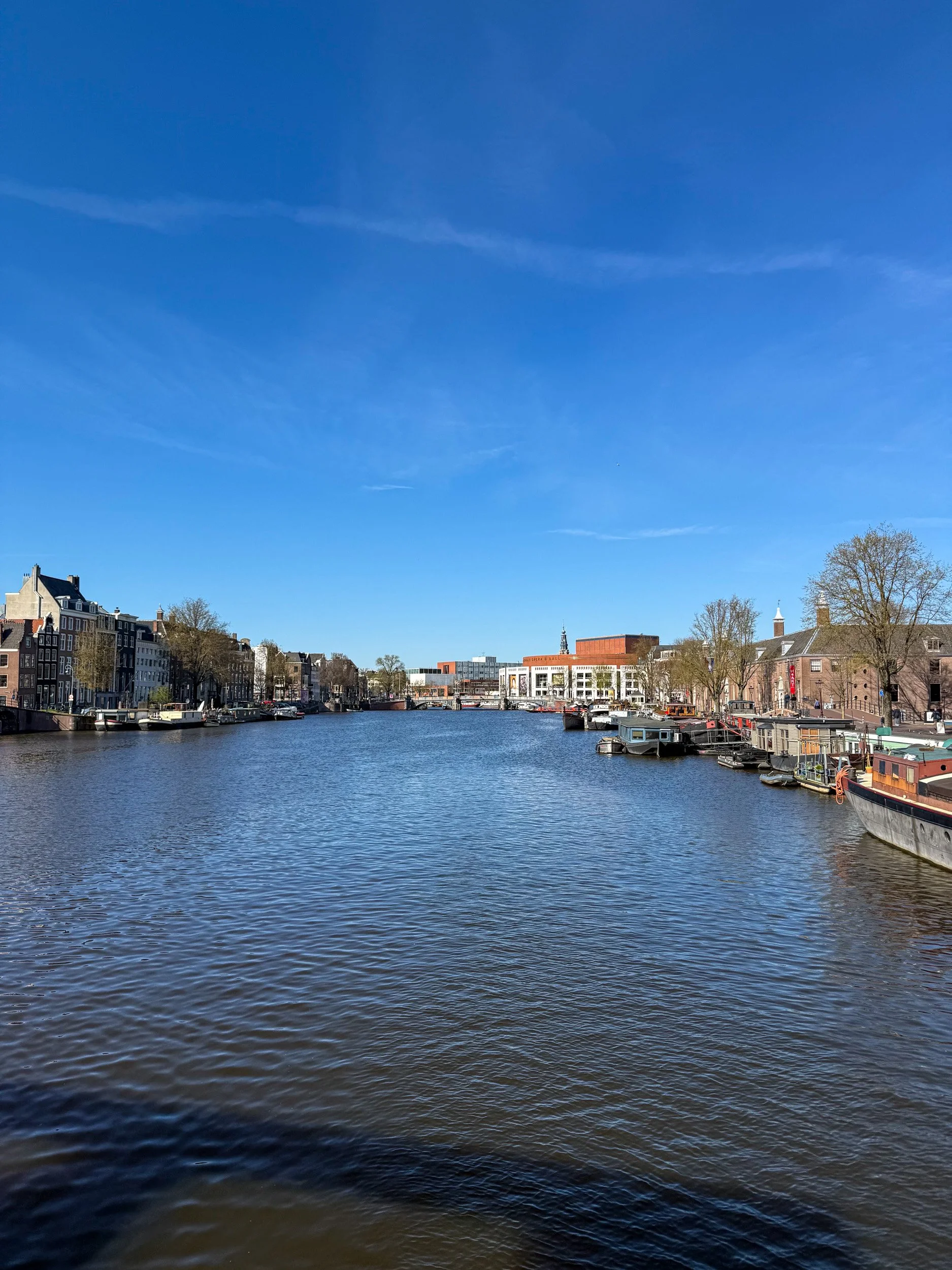 donyn amsterdam.jpg