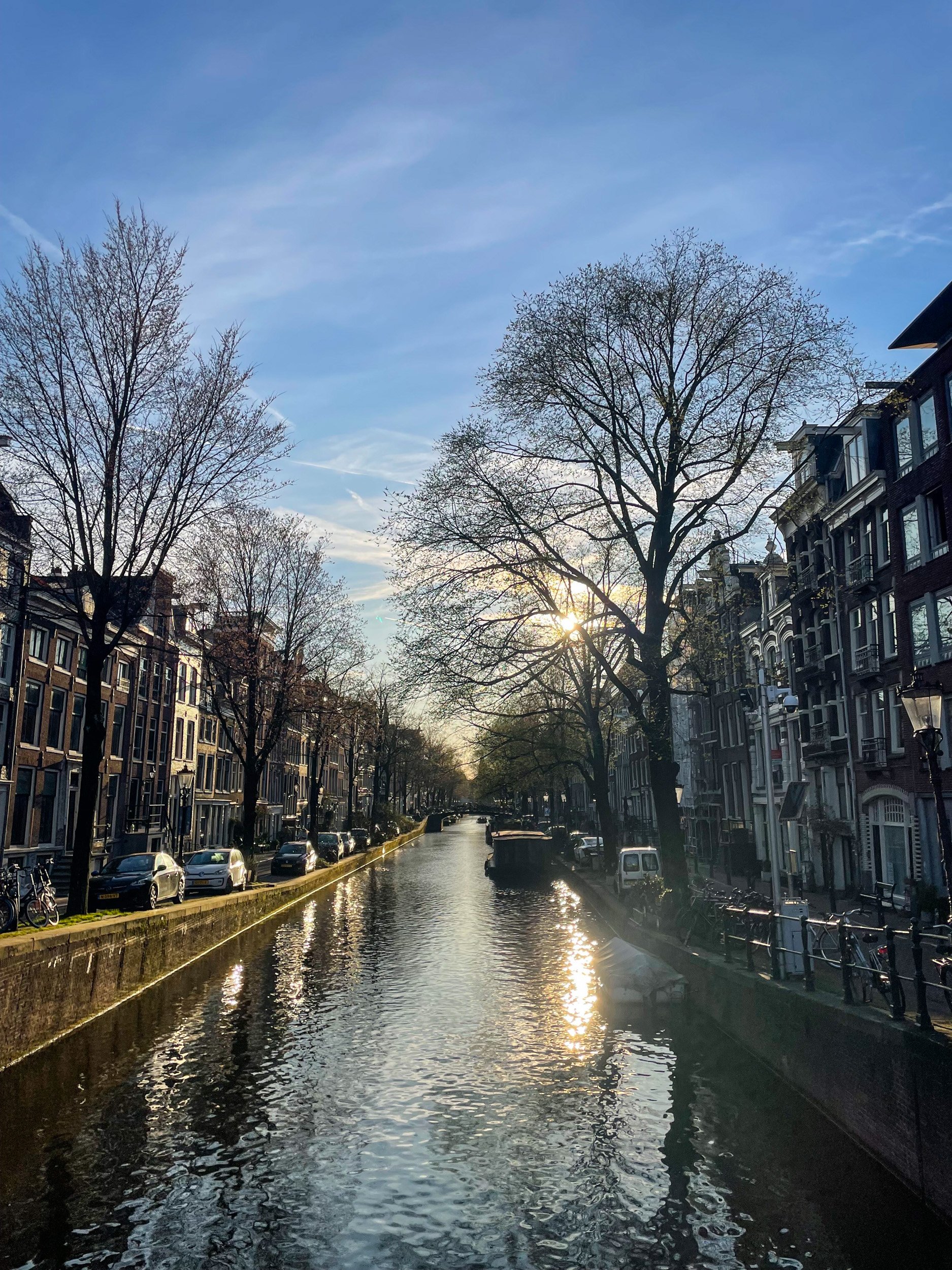 sohn amsterdam 2.jpg
