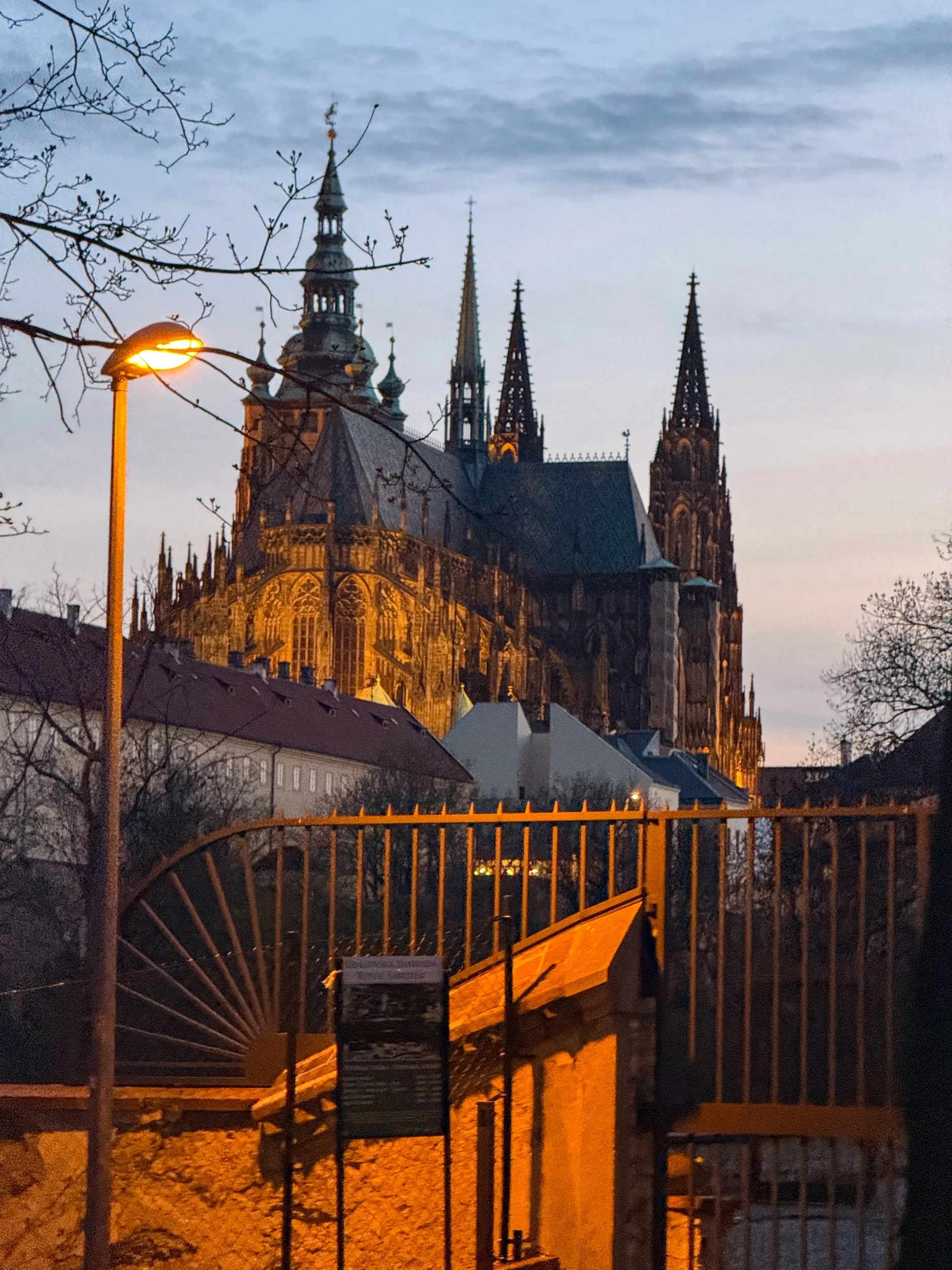 brown 3 - prague.jpg