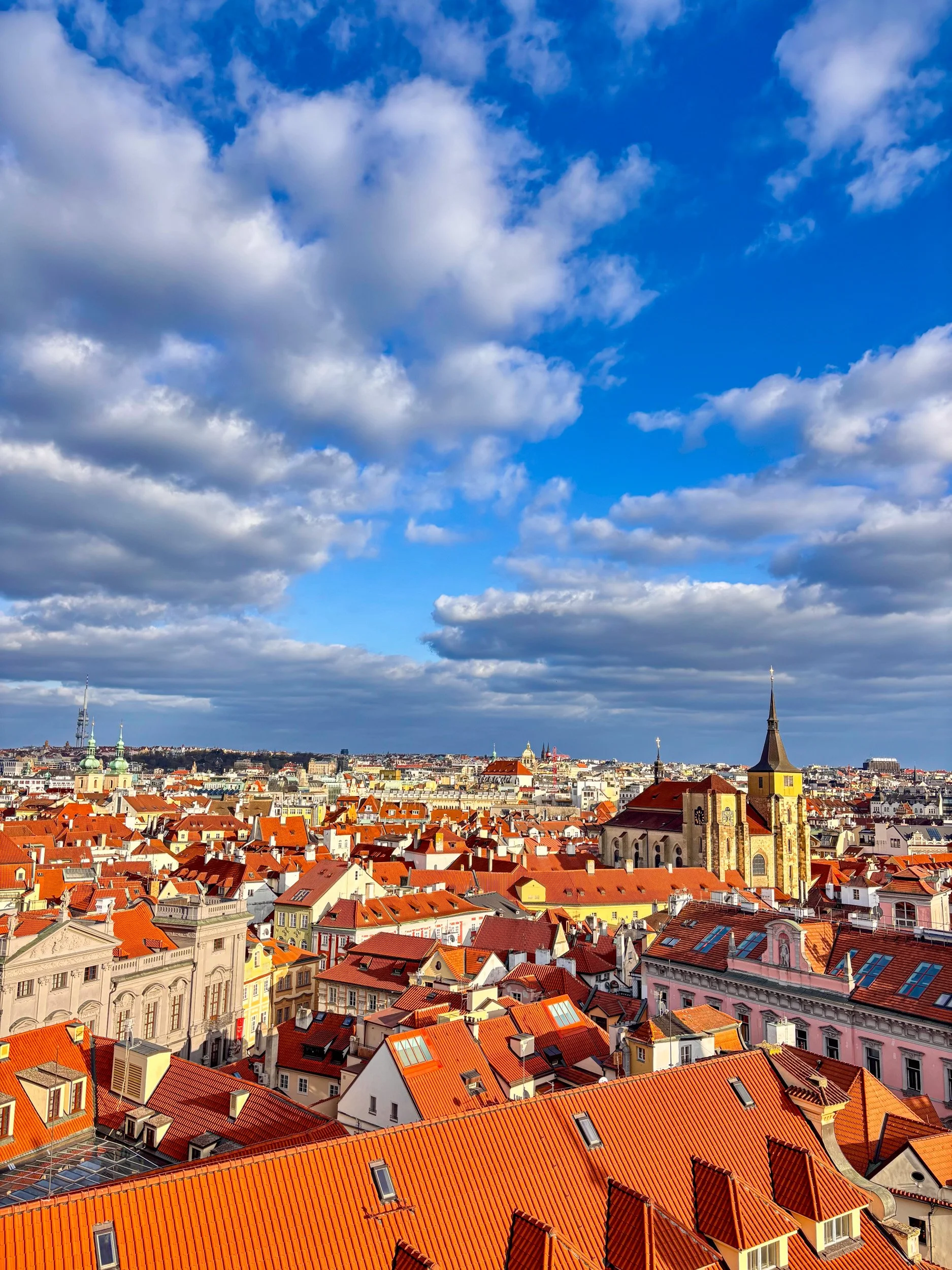 daphne 1-prague.jpg