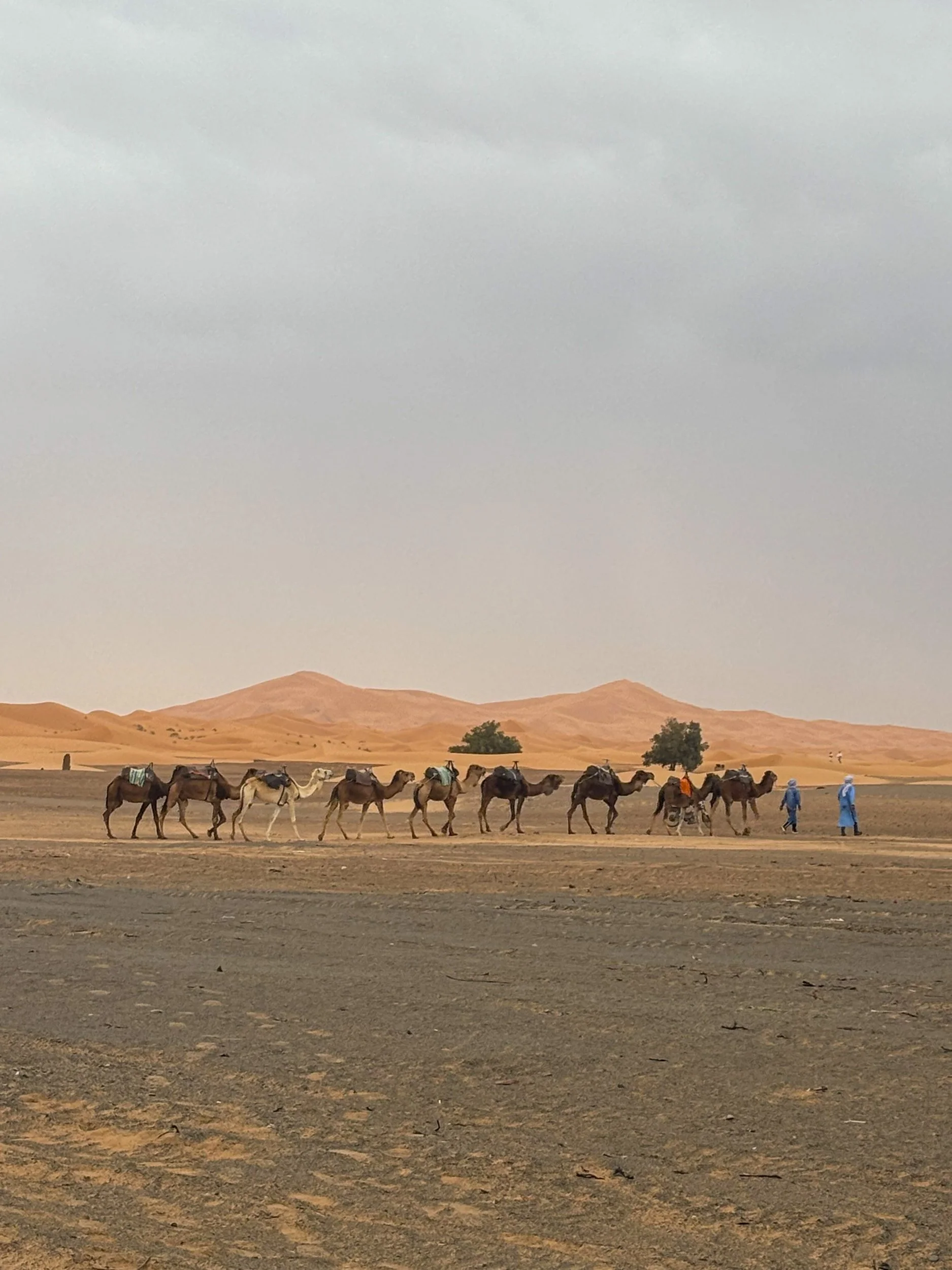 chubak morocco.jpg