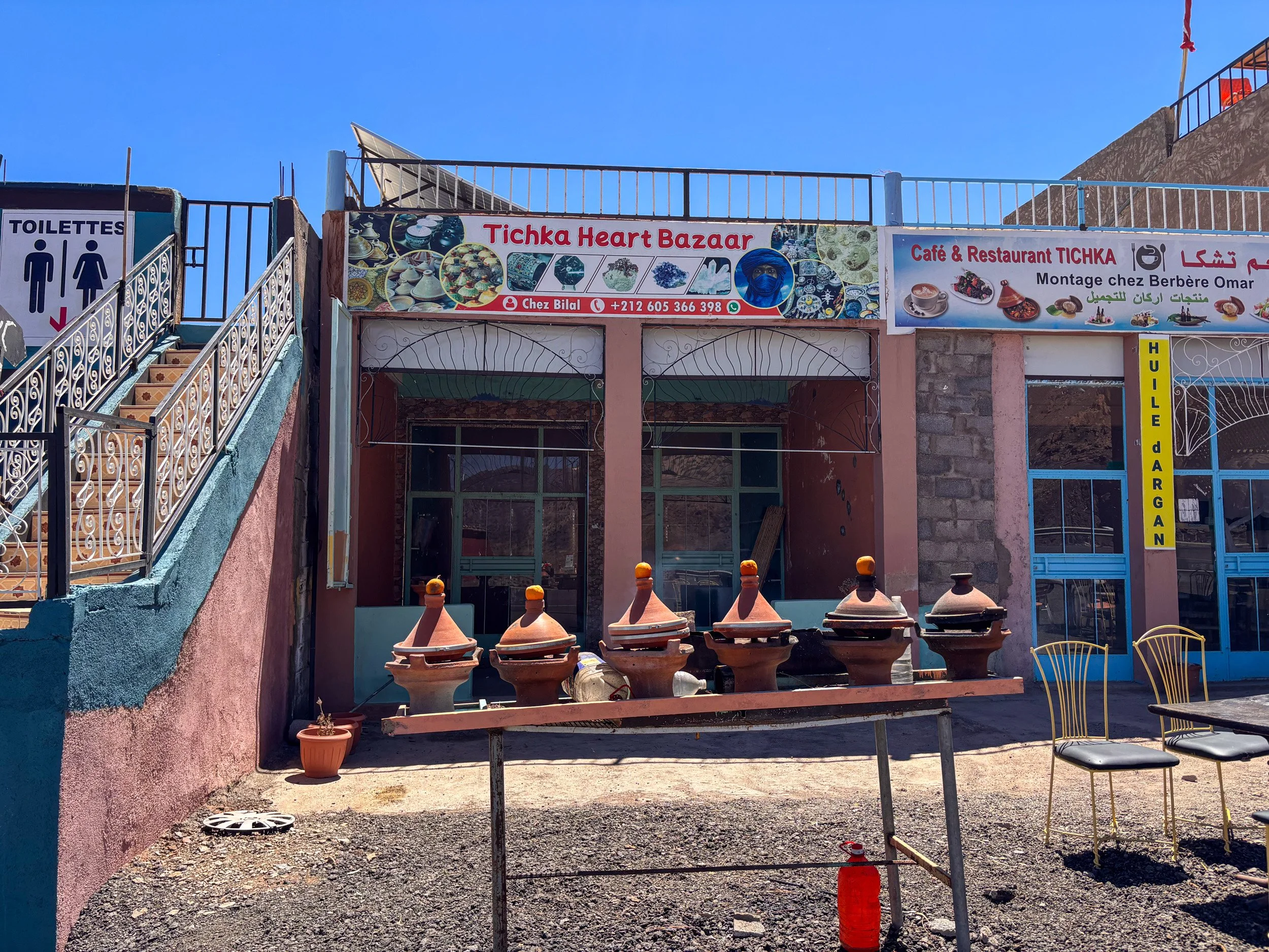 daphne 2 morocco.jpg