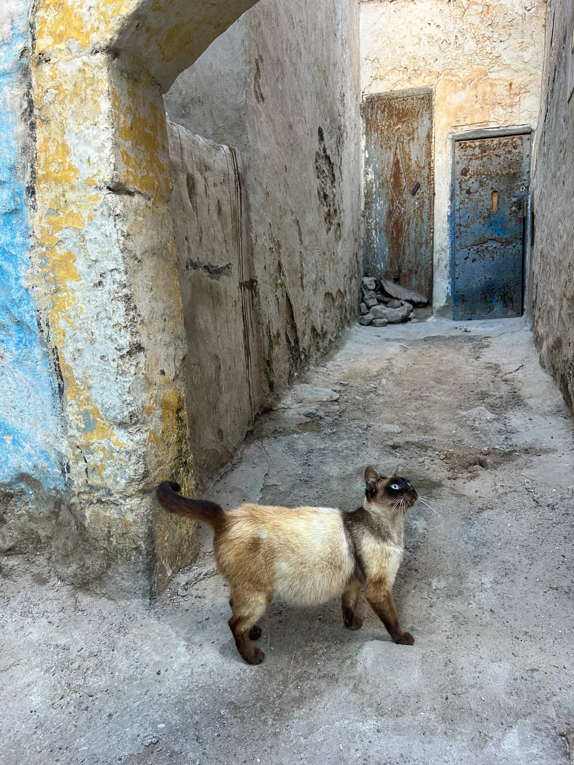 Eloise Morocco2.jpg