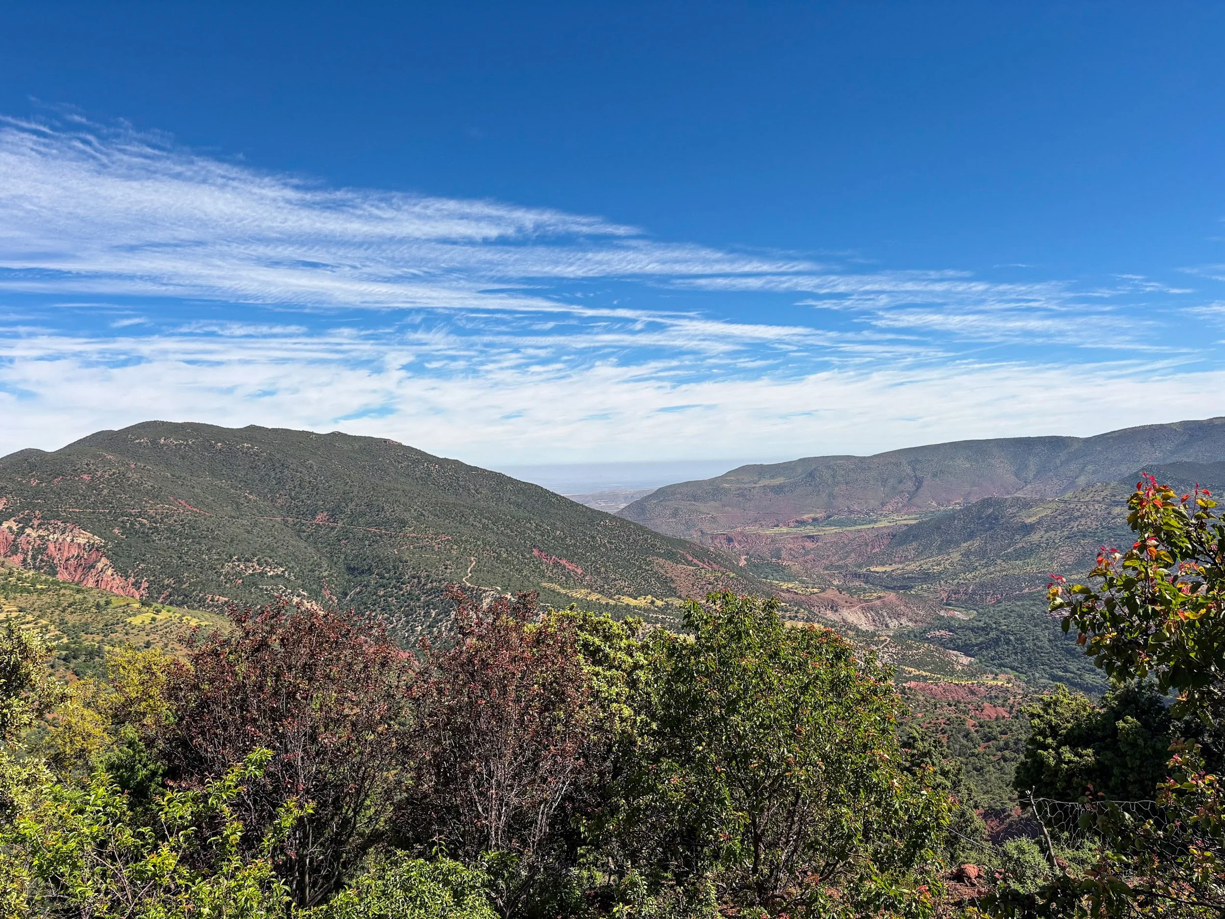Leah Morocco2.jpg