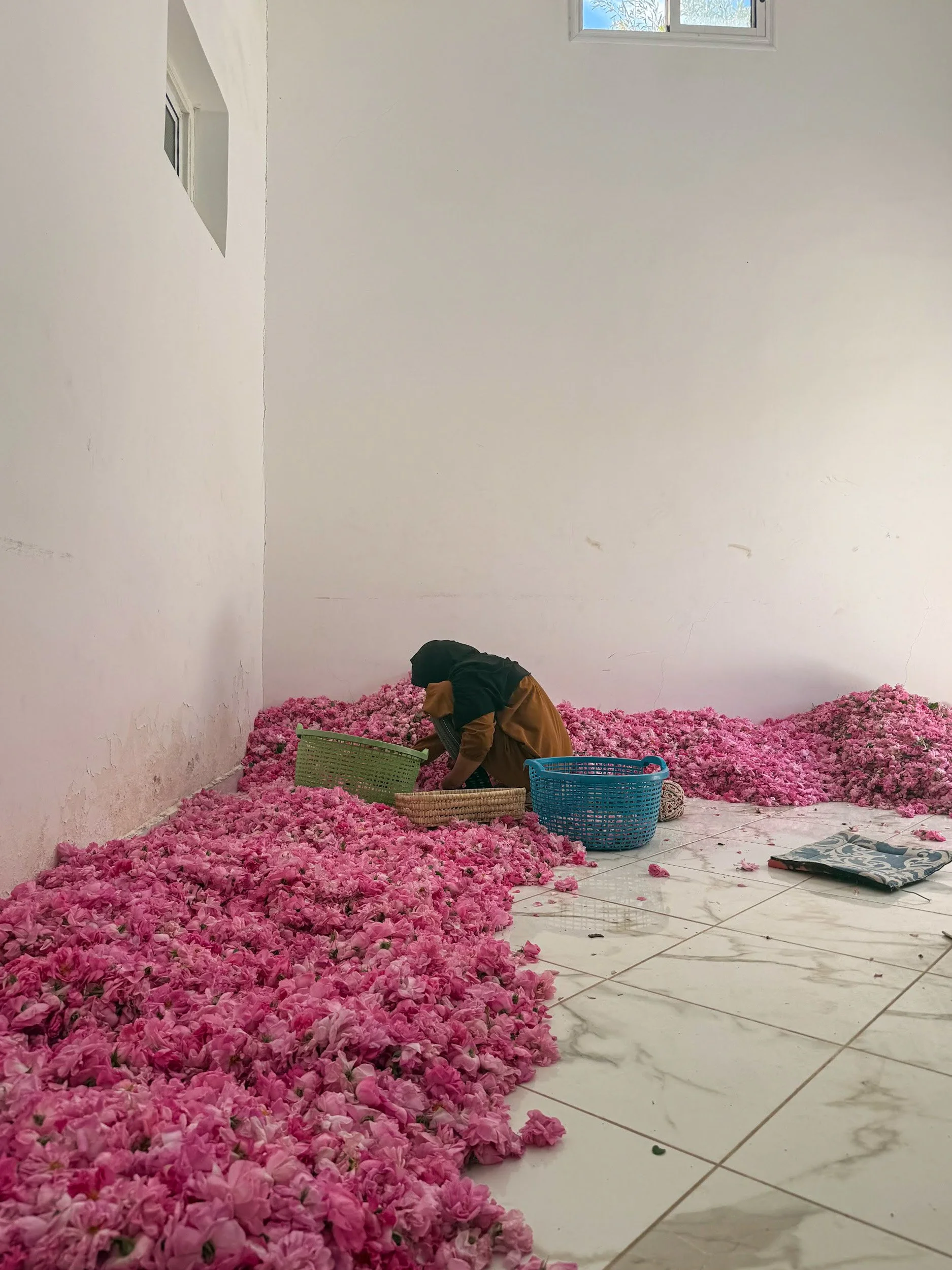 Lila Morocco5.jpg
