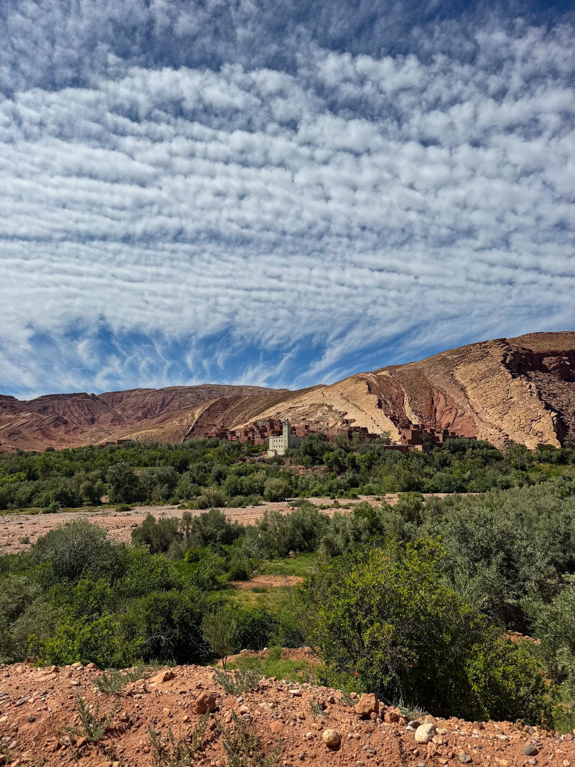 LindseyF Morocco.jpg