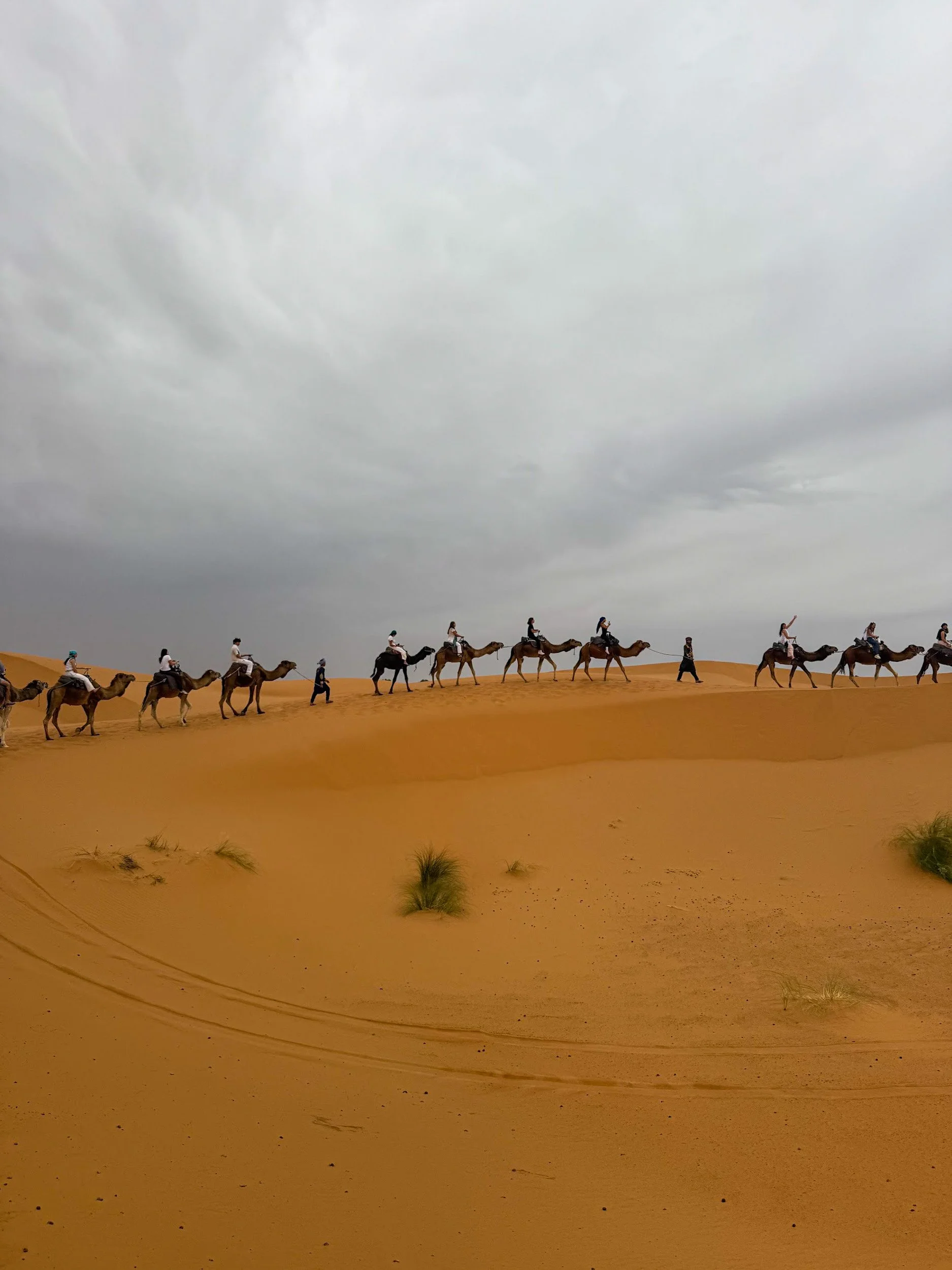 LindseyF Morocco3.jpg