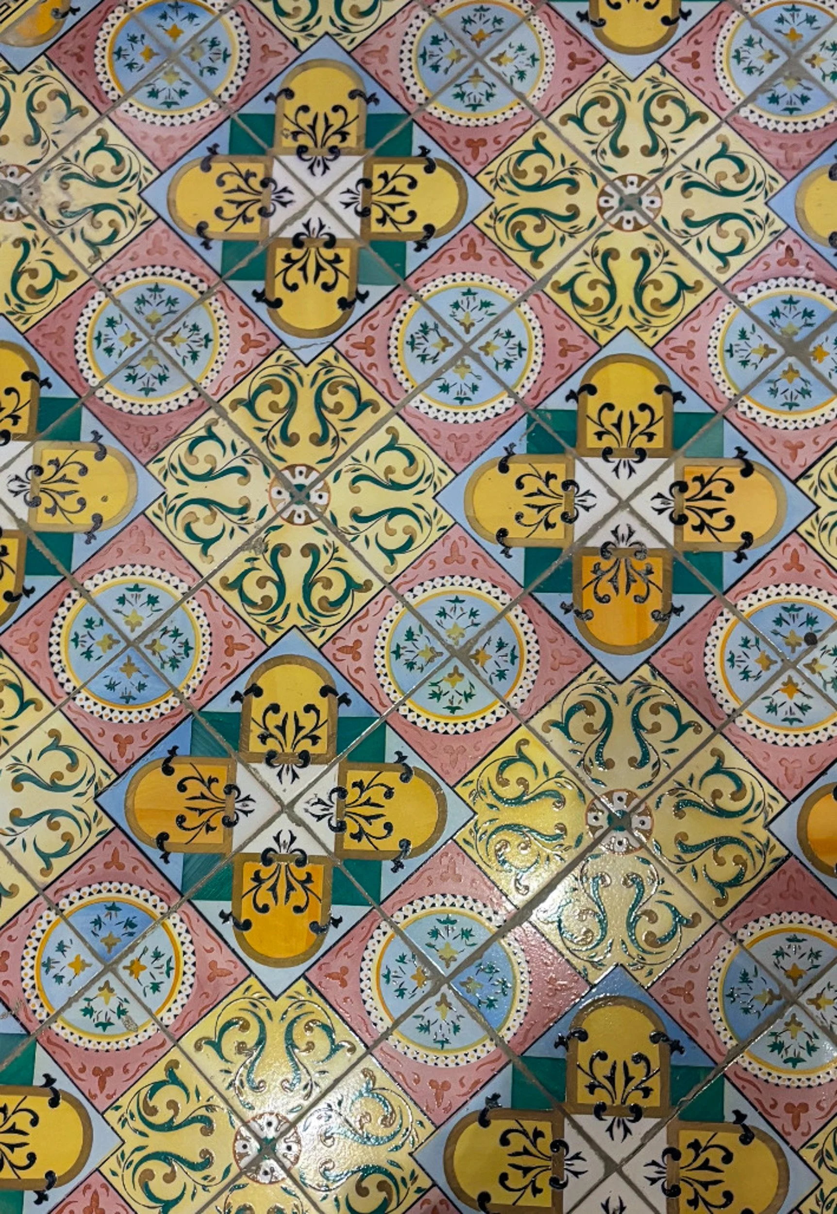 NoaC Morocco.jpg