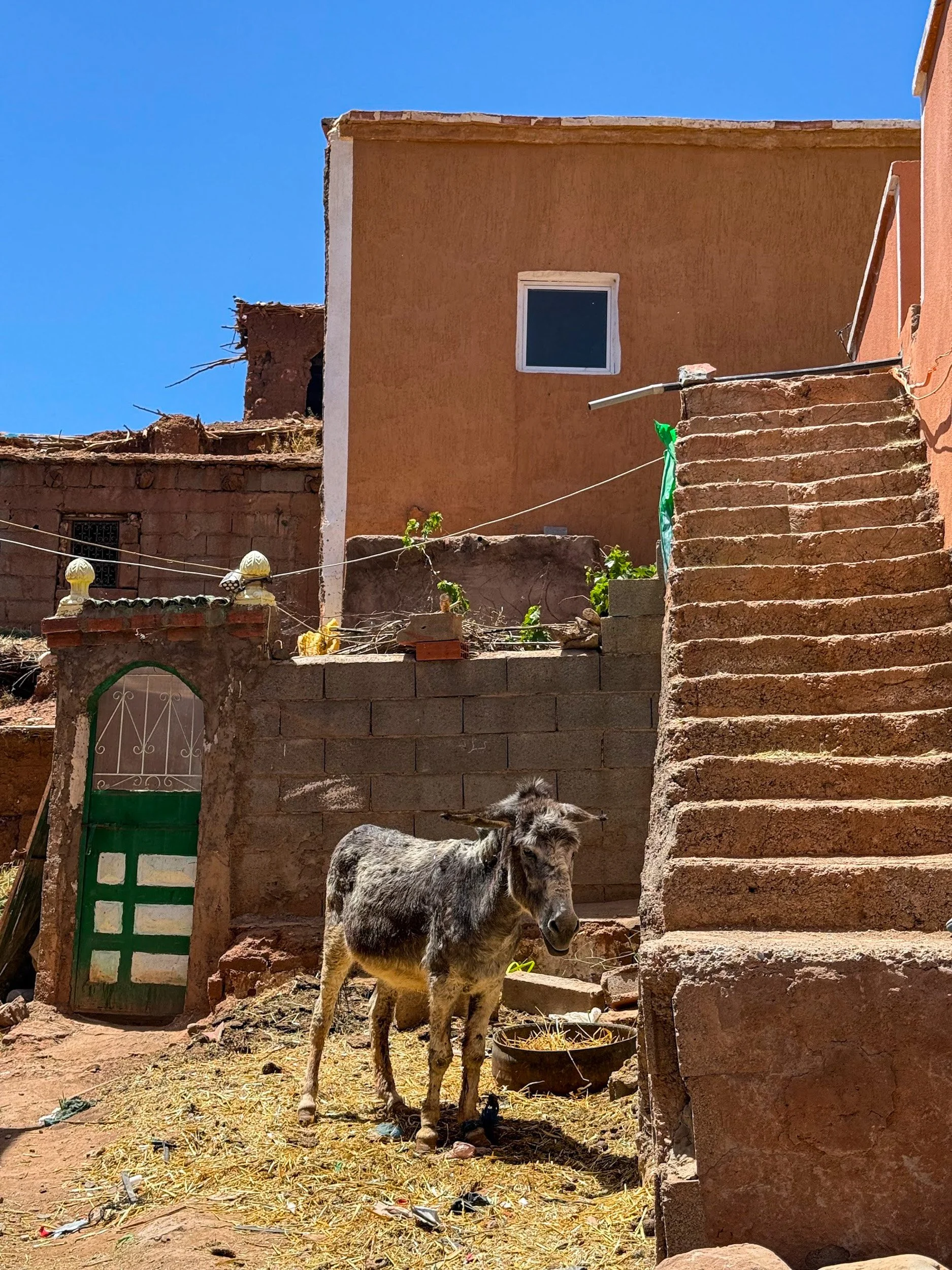 Noli Morocco.jpg