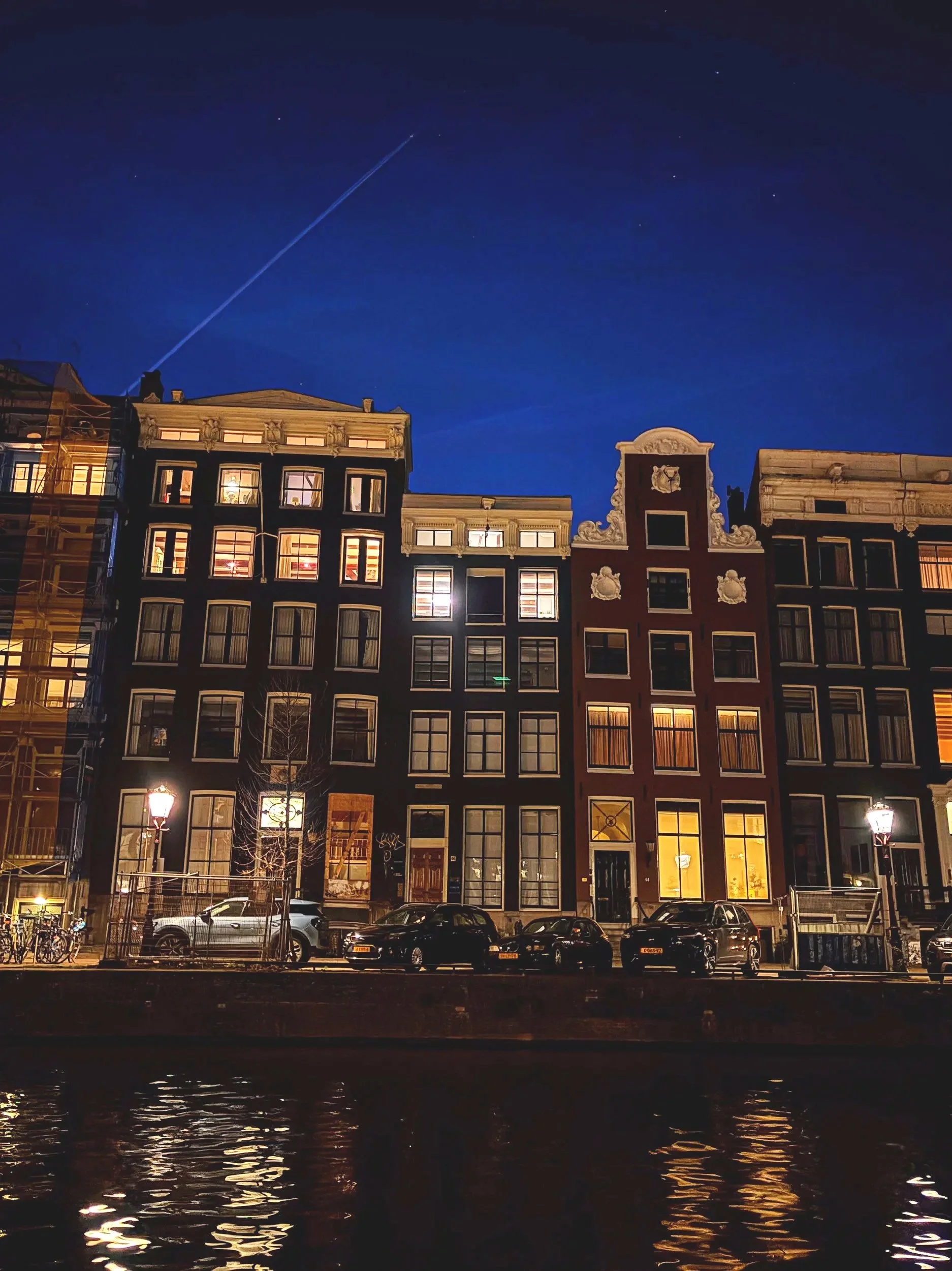 daphne amsterdam.jpg