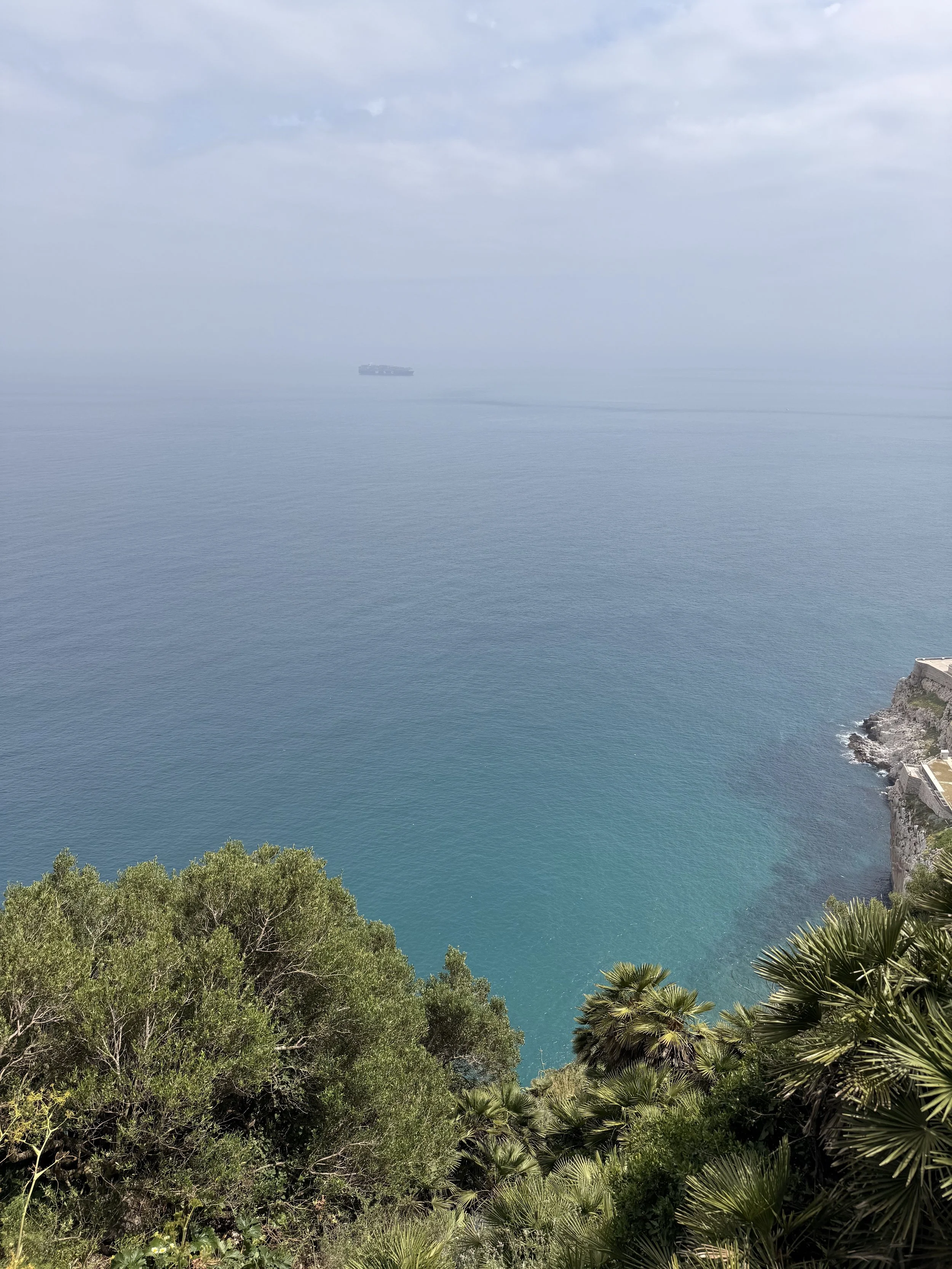 Lila - Gibraltar.jpg