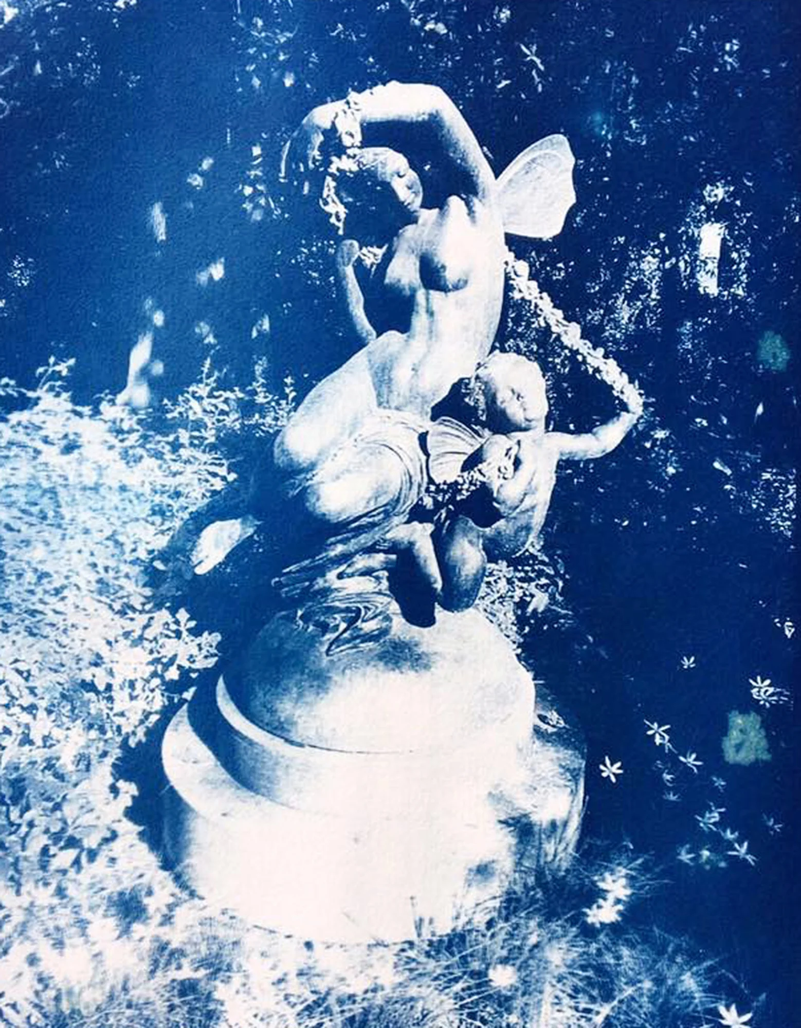 venus in the garden2.jpg