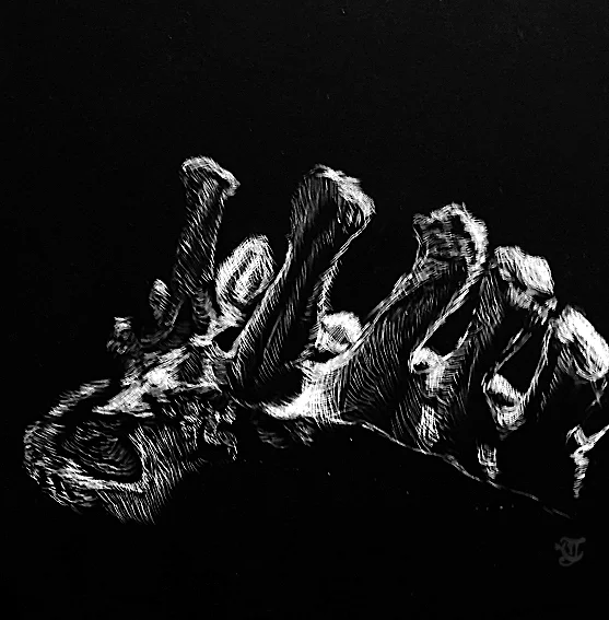 bones study scratch.jpg