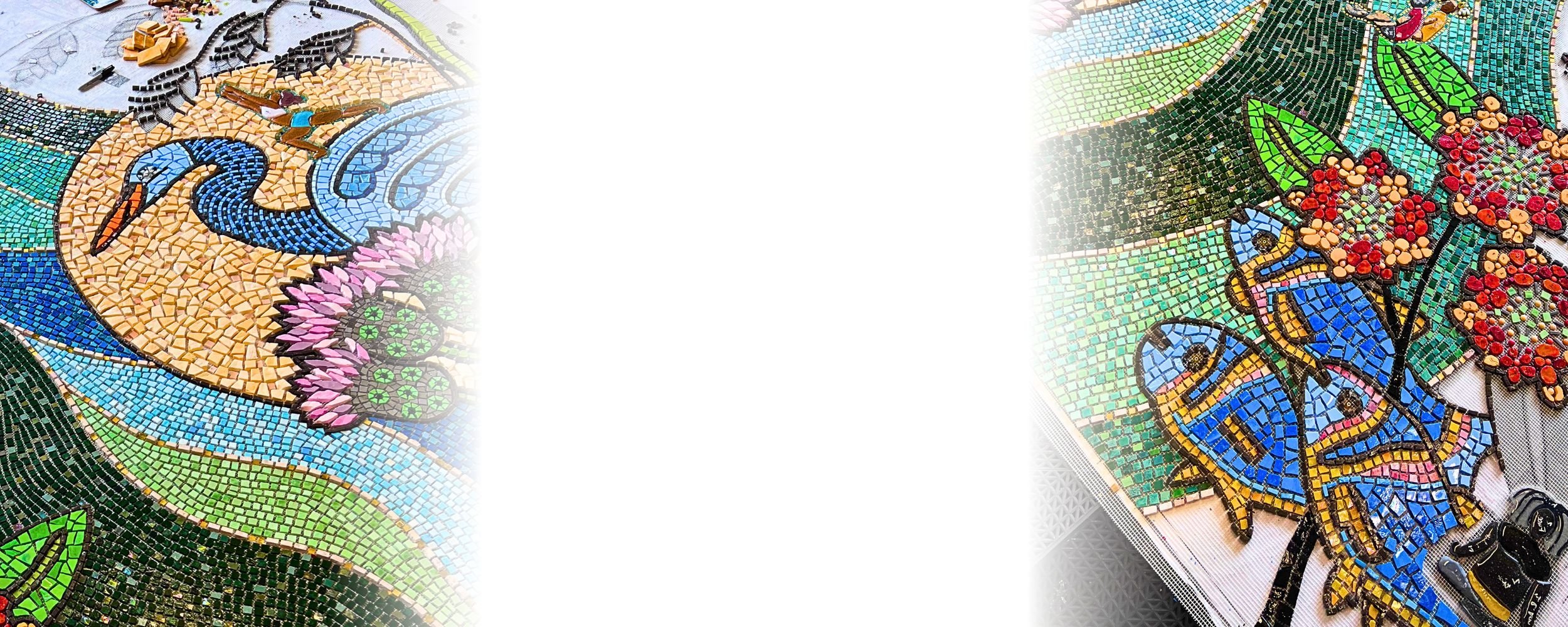 Entre Agua Y Estrellas - Homepage banner.jpg
