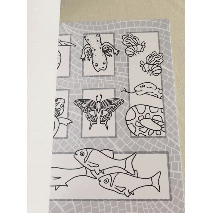 barton-springs-mosaic-coloring-book-gift-lys-santamaria-thick-pages