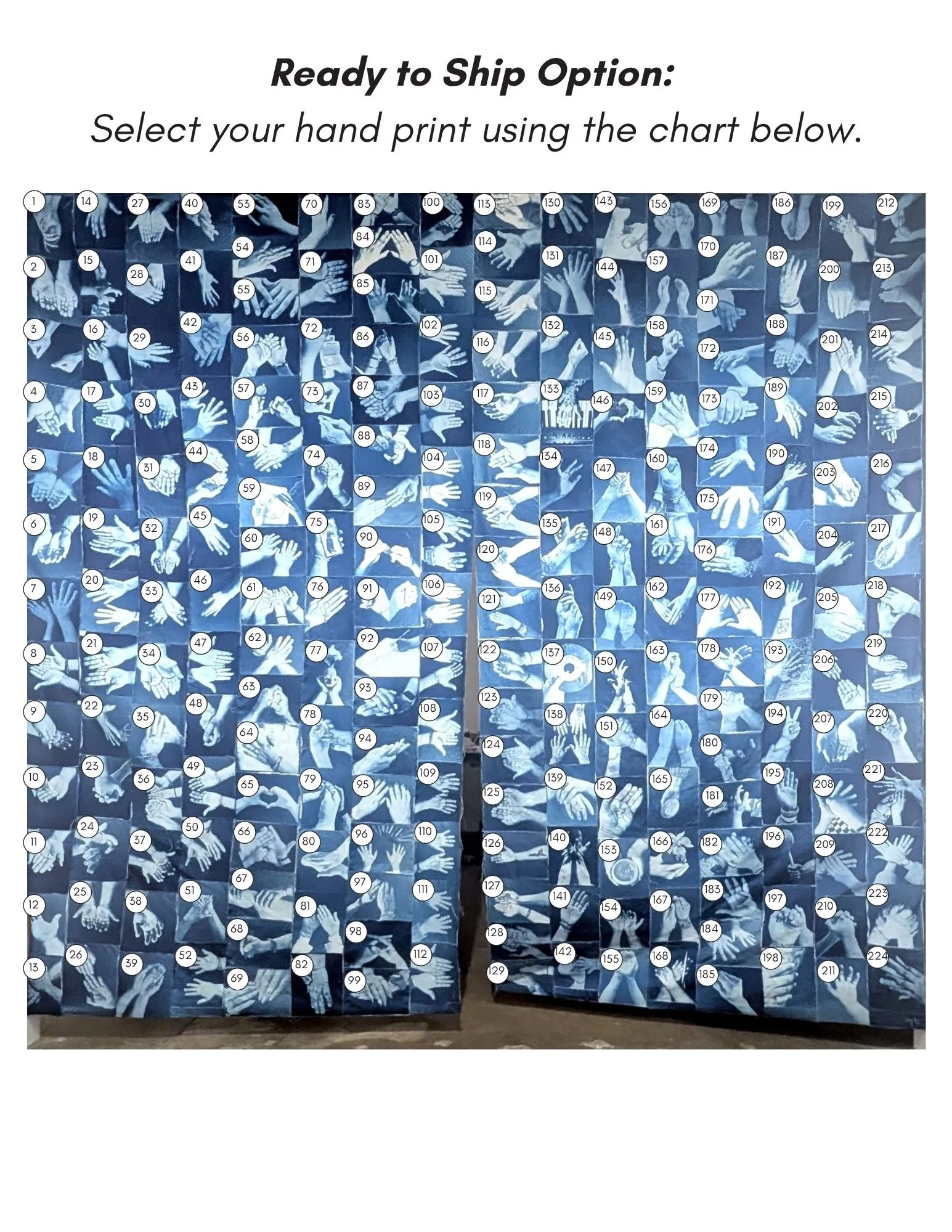 erase $65 — Cyanotype Prints from Nuestros Manos Unidas, 8.5x11.jpg