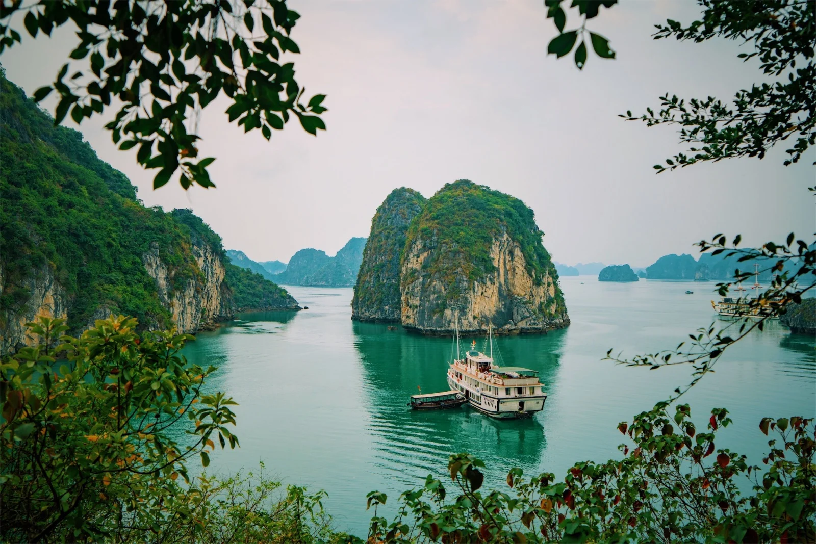 ha long junk