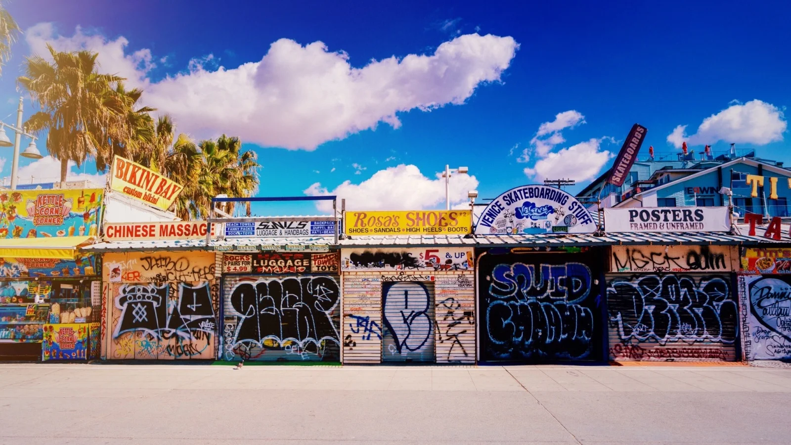 vsco5b06f086e25ab.jpg