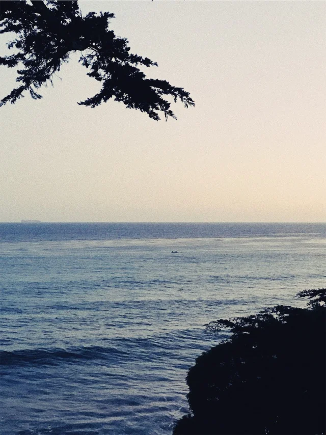 vsco59e6bfec41c37.jpg