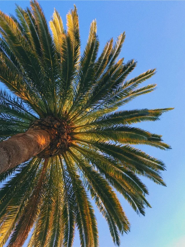 vsco59e6c4f92142e.jpg