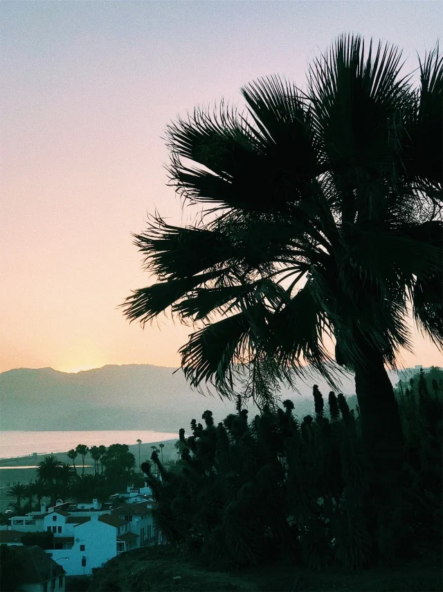 vsco59e6c12b0c8e9.jpg