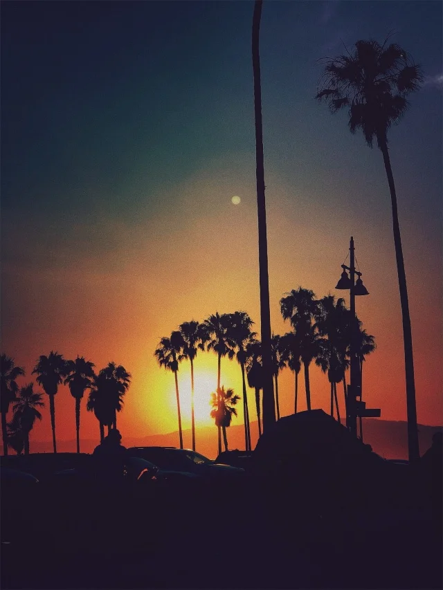 vsco59e6c4109a60b.jpg