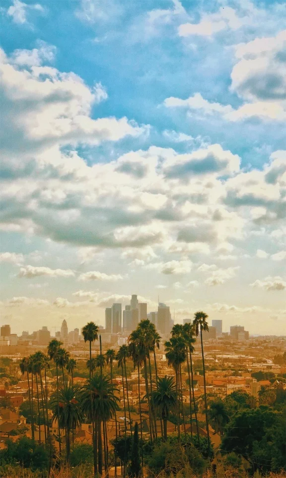 vsco59e6d4c45d8b2.jpg
