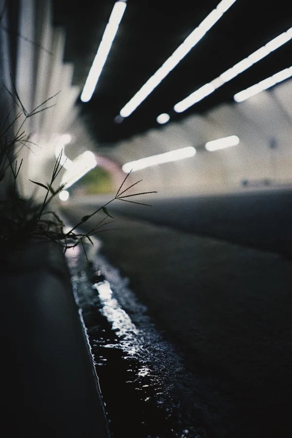 vsco59e6d04c1065c.jpg
