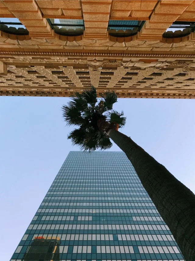vsco59e6d93a3a071.jpg