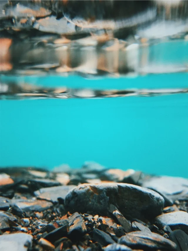 vsco59e6d42460046.jpg