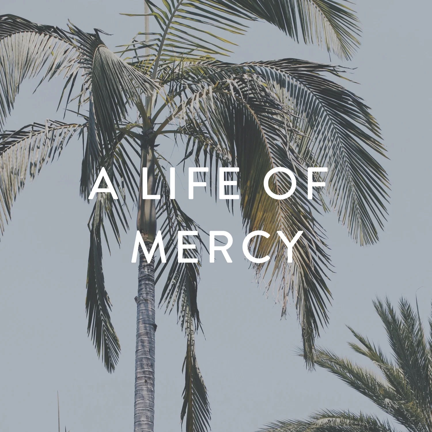 A Life of Mercy episode artwork