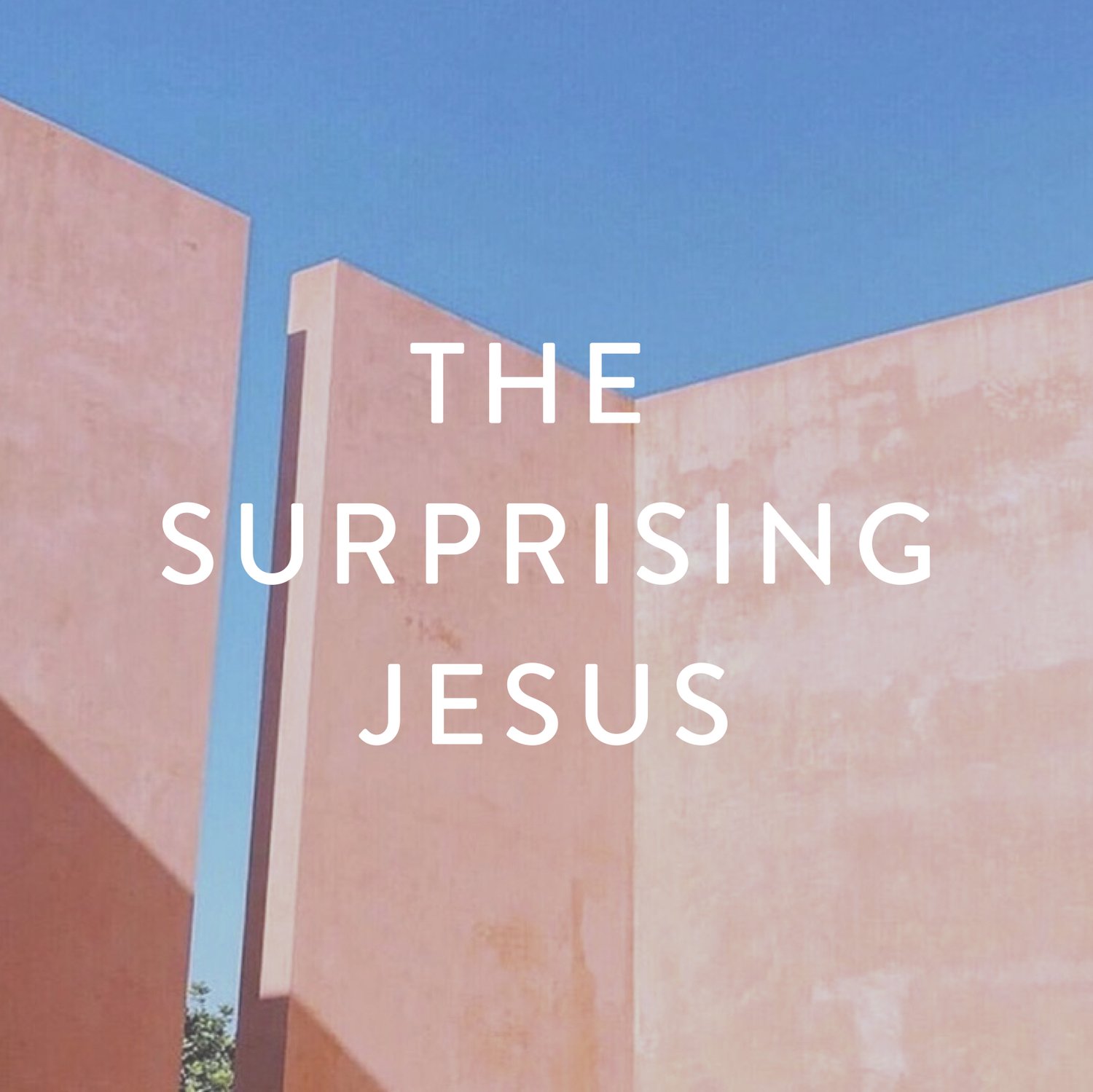 The Surprising Jesus episode artwork