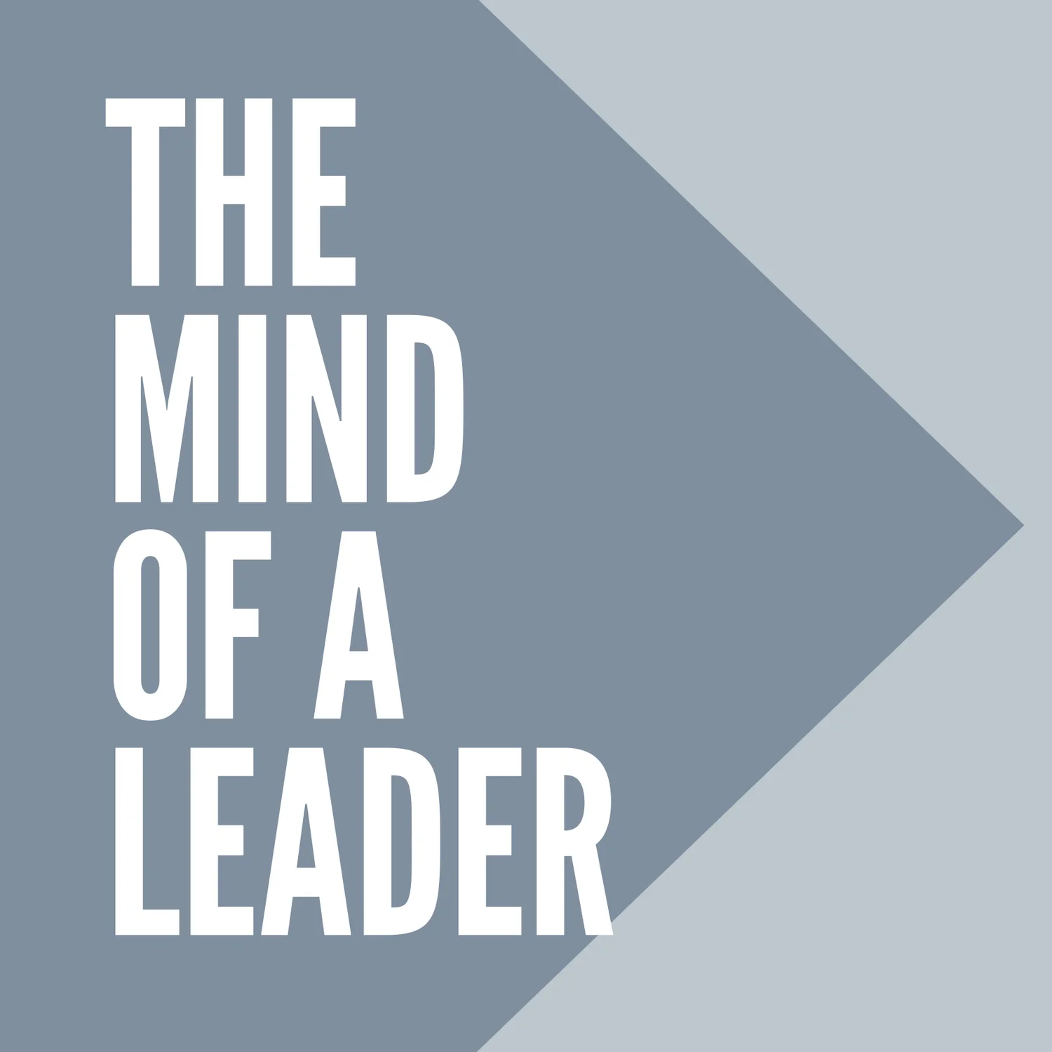 The Mind of a Leader episode artwork