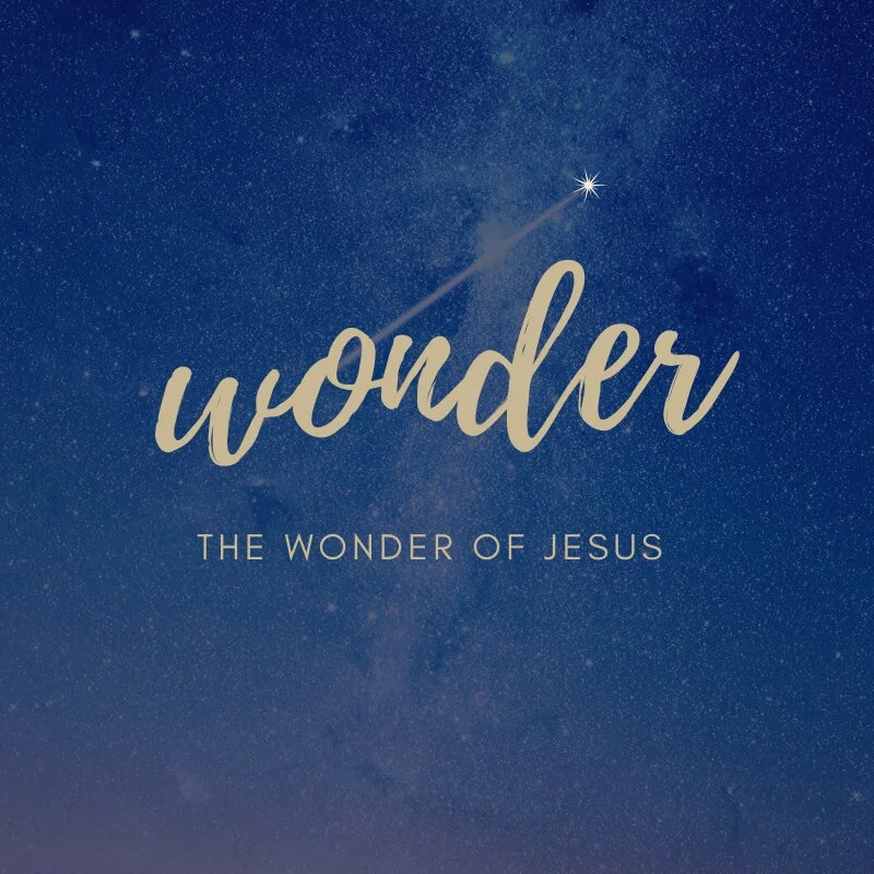 The Wonder of Jesus episode artwork
