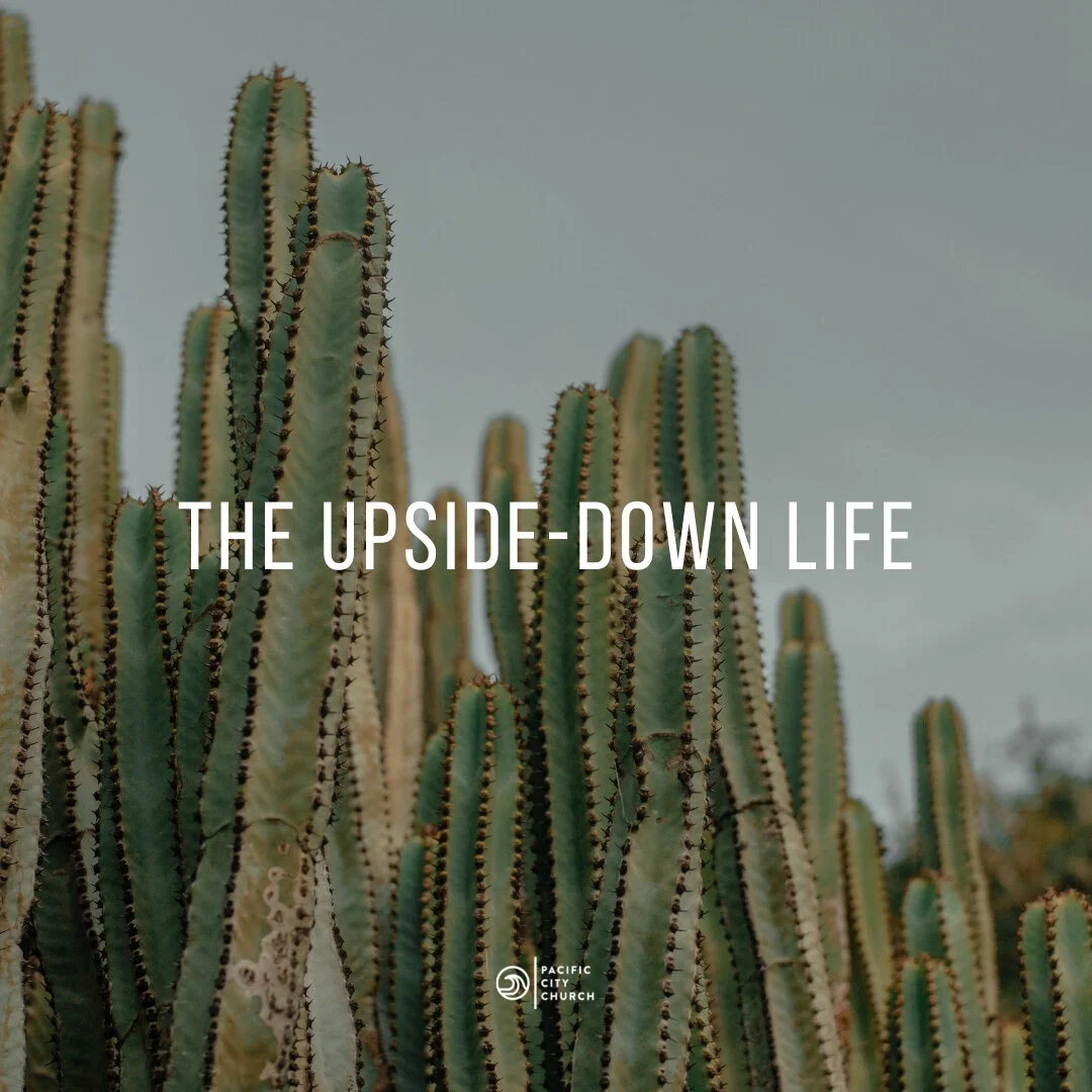 The Upside-Down Life episode artwork