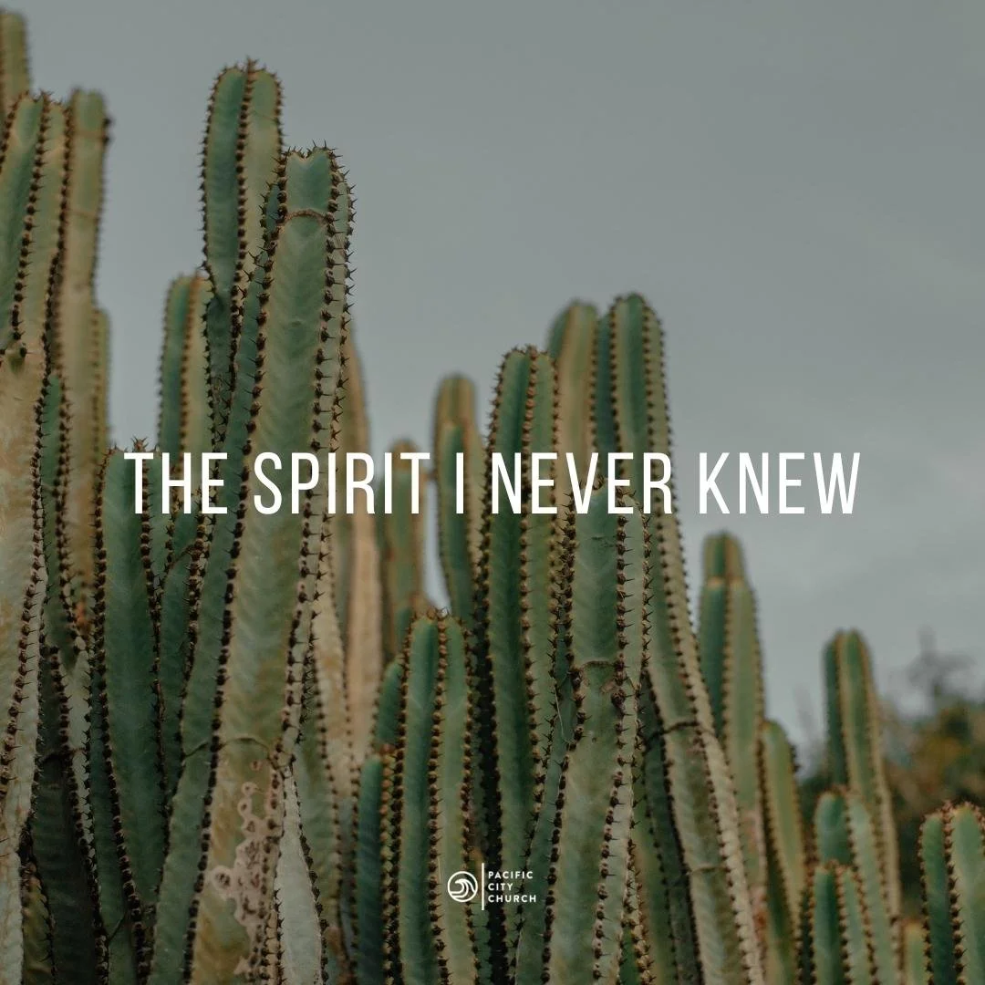 The Spirit I Never Knew episode artwork
