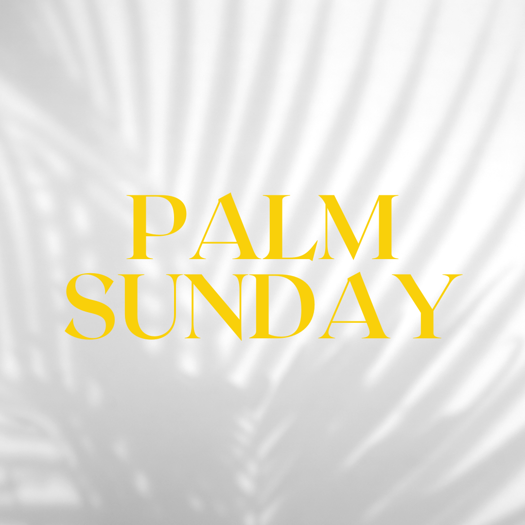 Palm Sunday - 2023 episode artwork