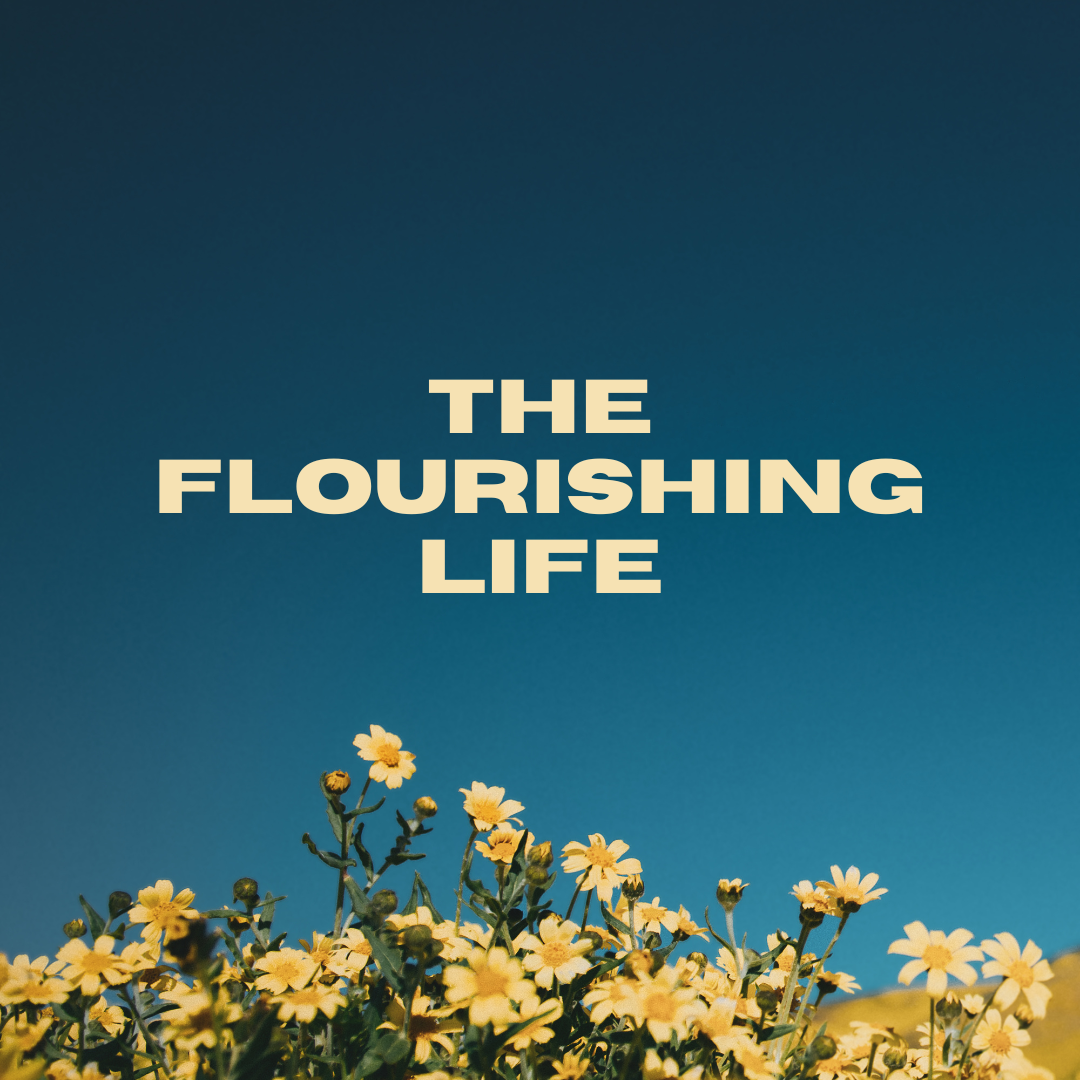 The Guide to the Flourishing Life episode artwork