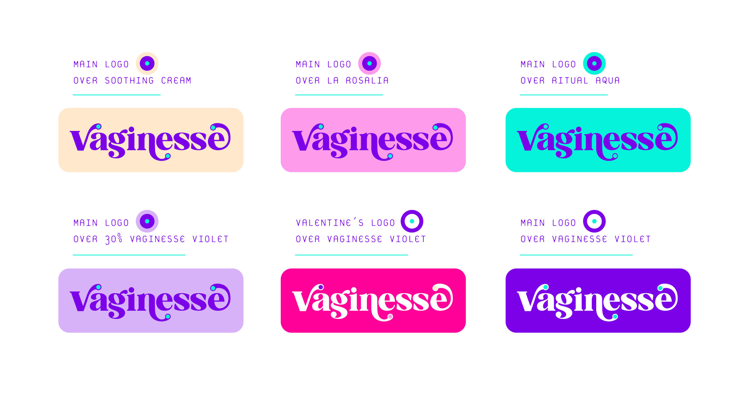 Vaginesse_Branding_Presentation-17.png