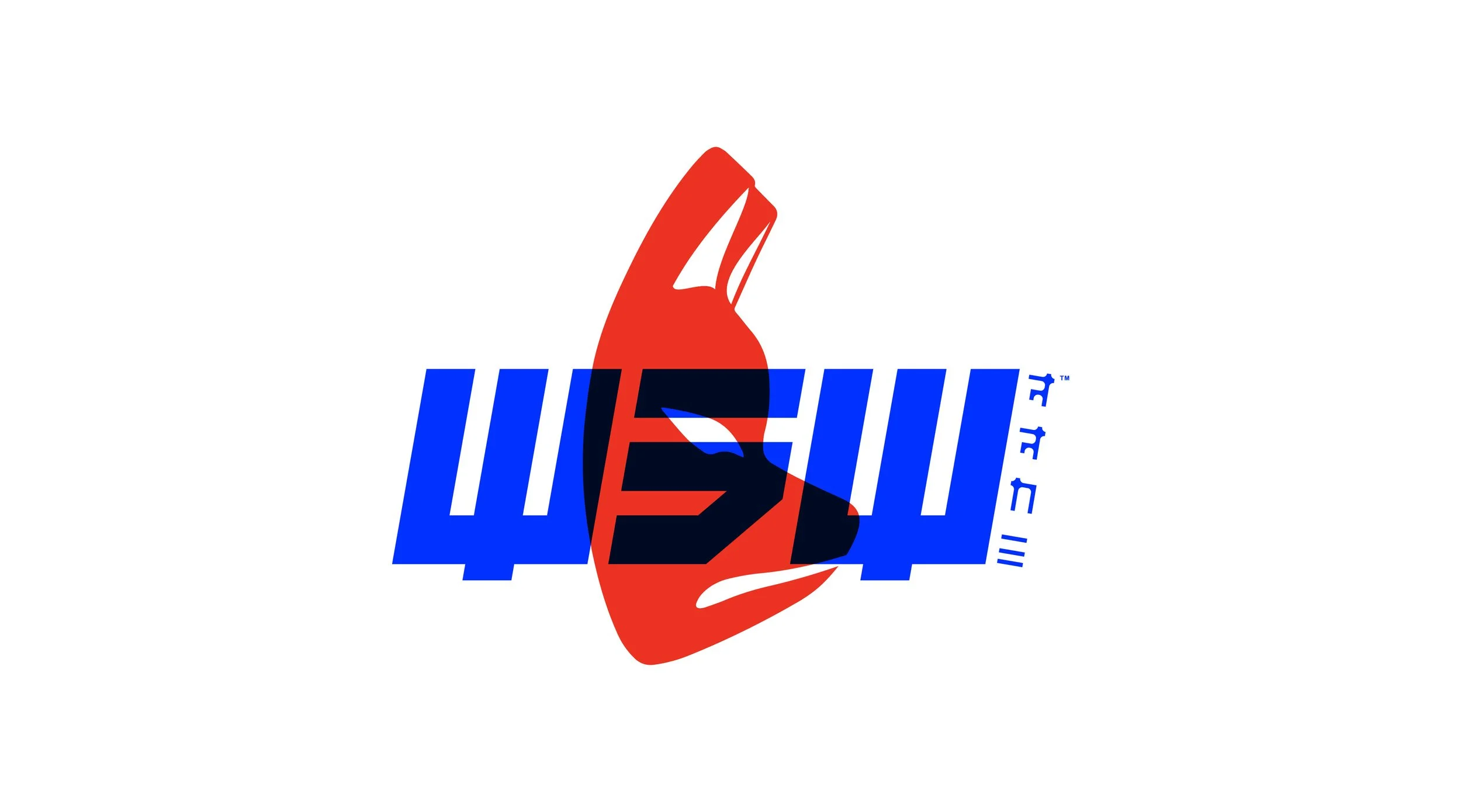 WSW_Branding_Images-01.jpg