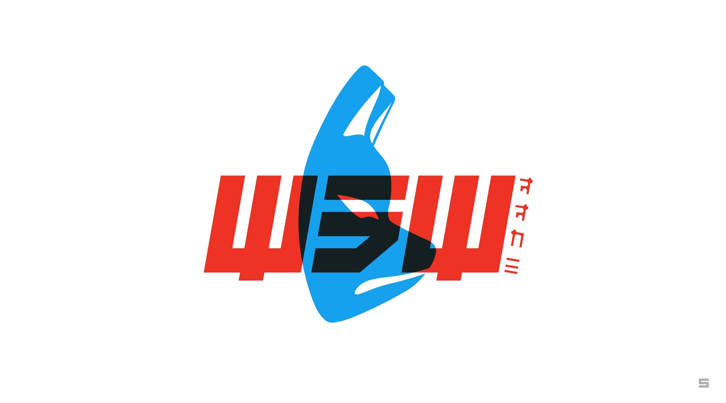 WSW_Branding_Images-05.jpg