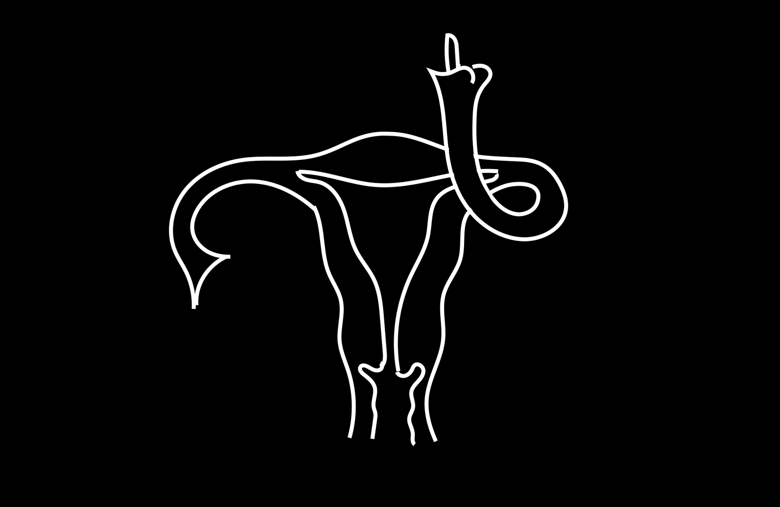 I created this image as part of an illustration for a Jezebel article decrying the CDC's 2016 guidelines about women and alcohol.