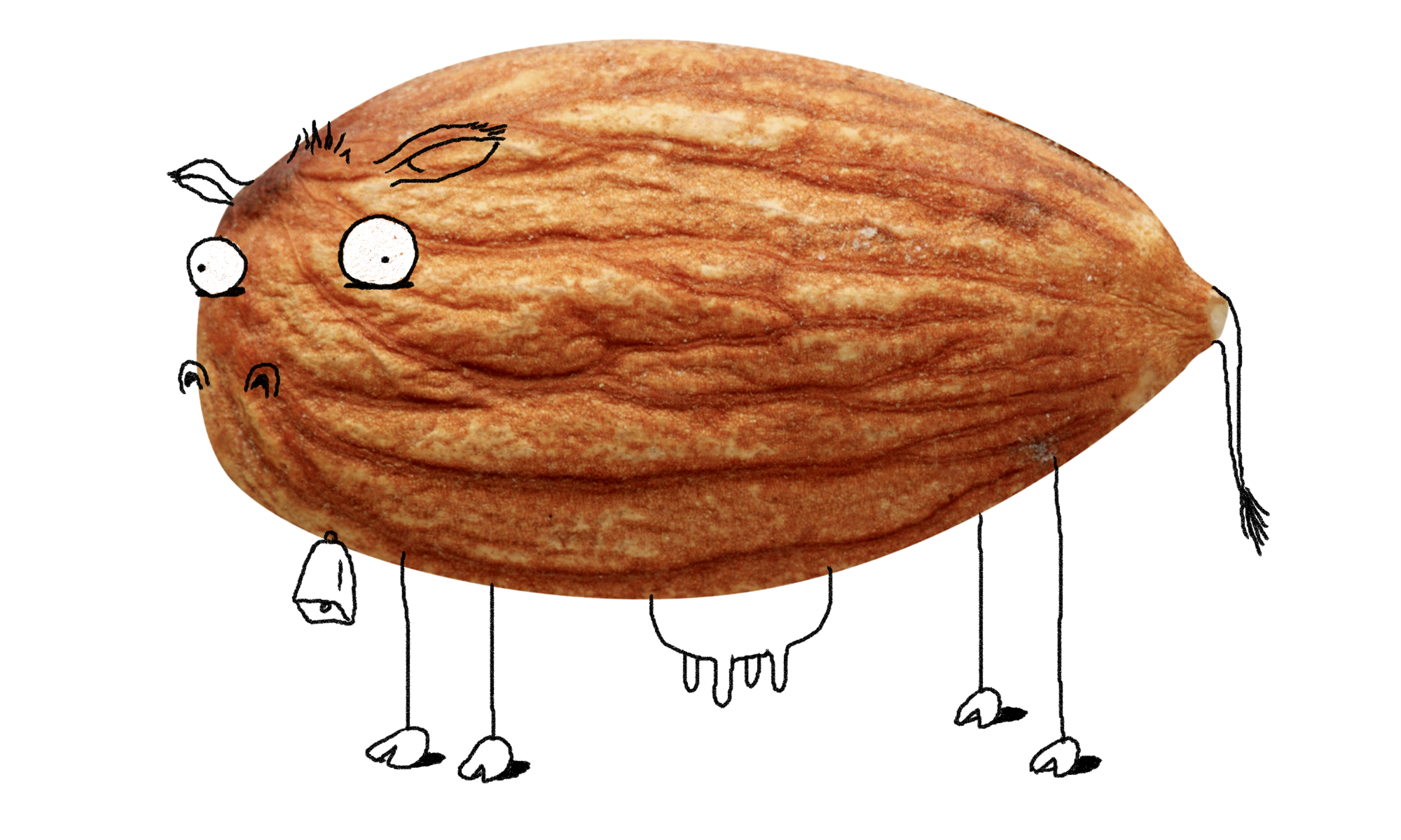 A New Size Of Almond Milk--And With It, A New World