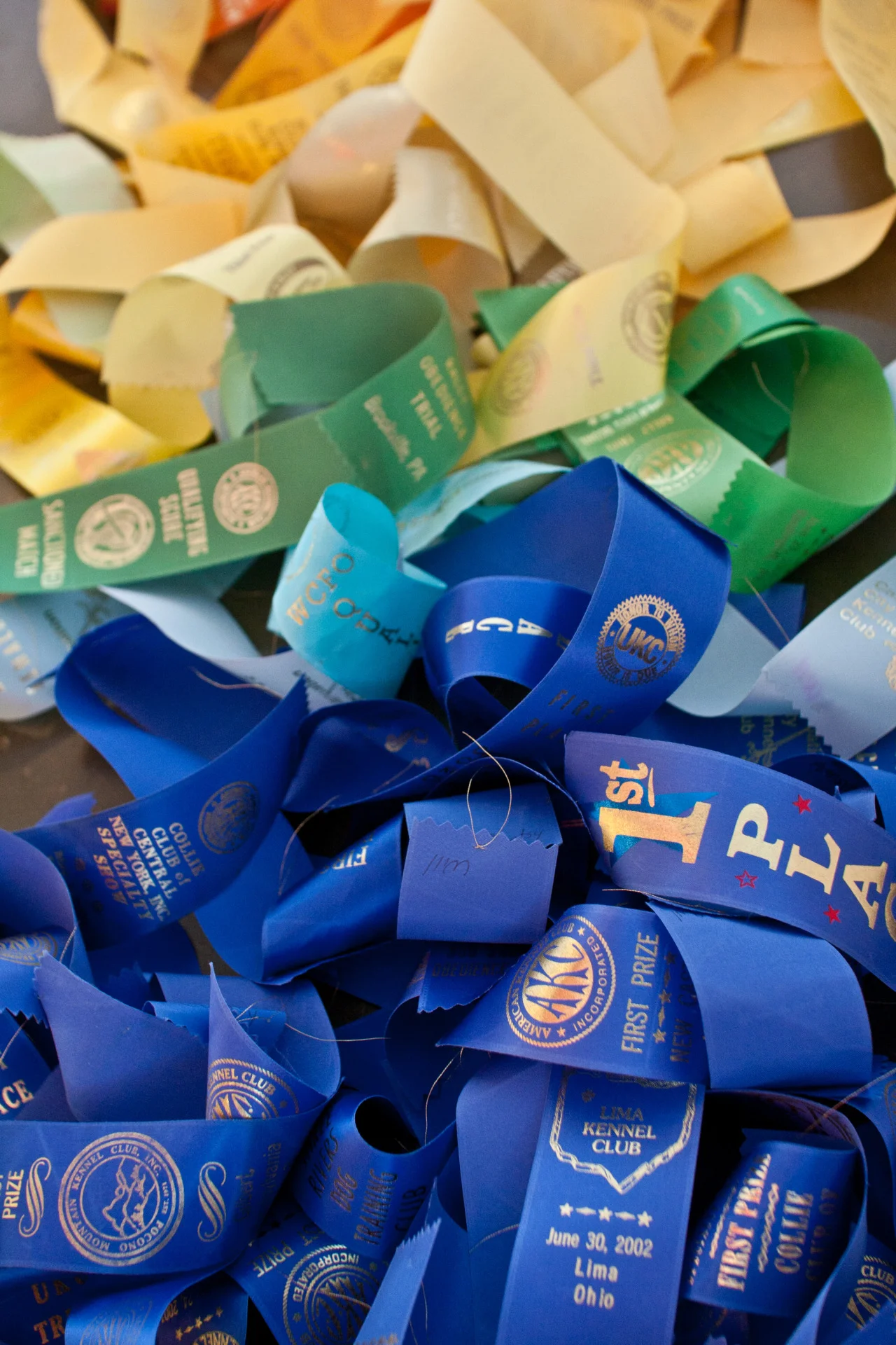 ribbon4.jpg